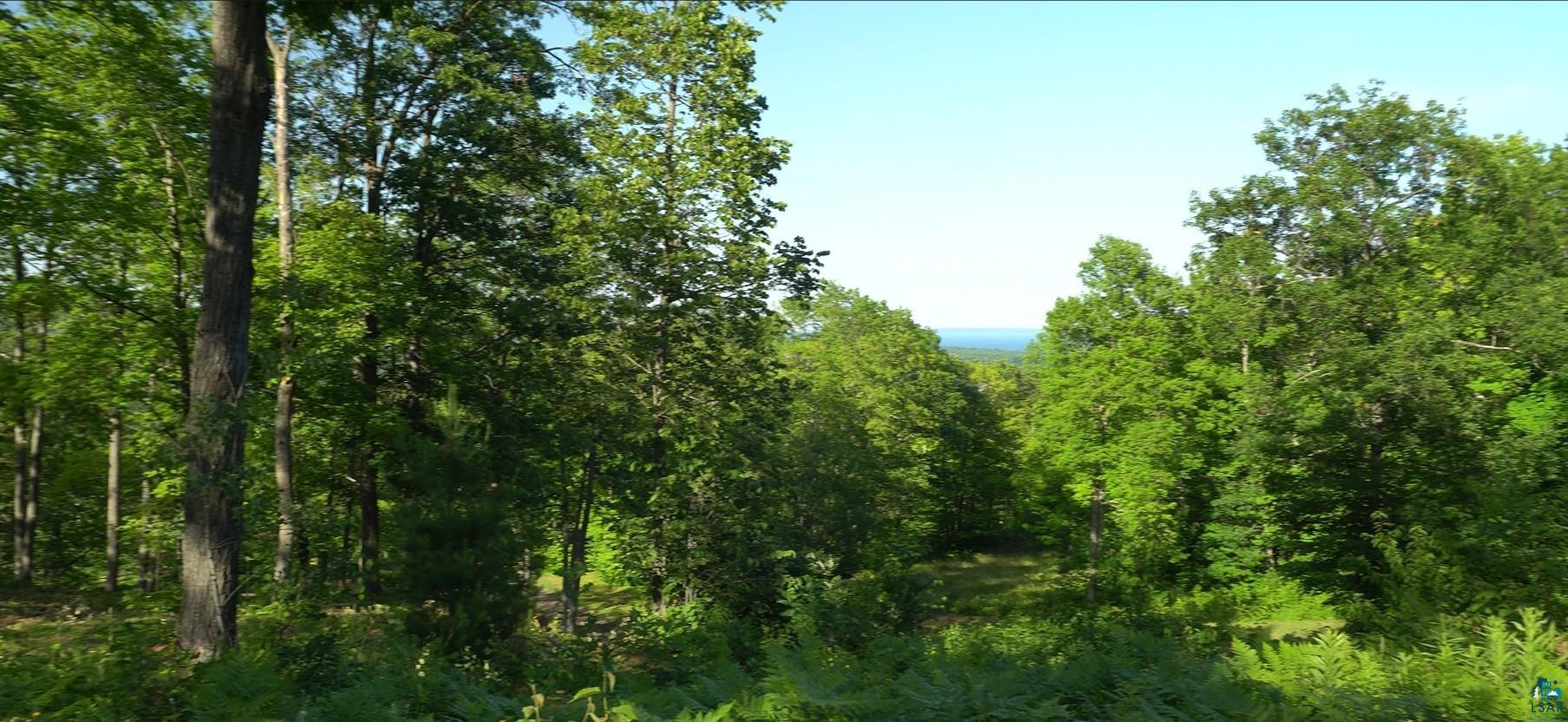 83xxx Ashwabay Heights Rd, Bayfield, WI 54814 Listing Photo  11
