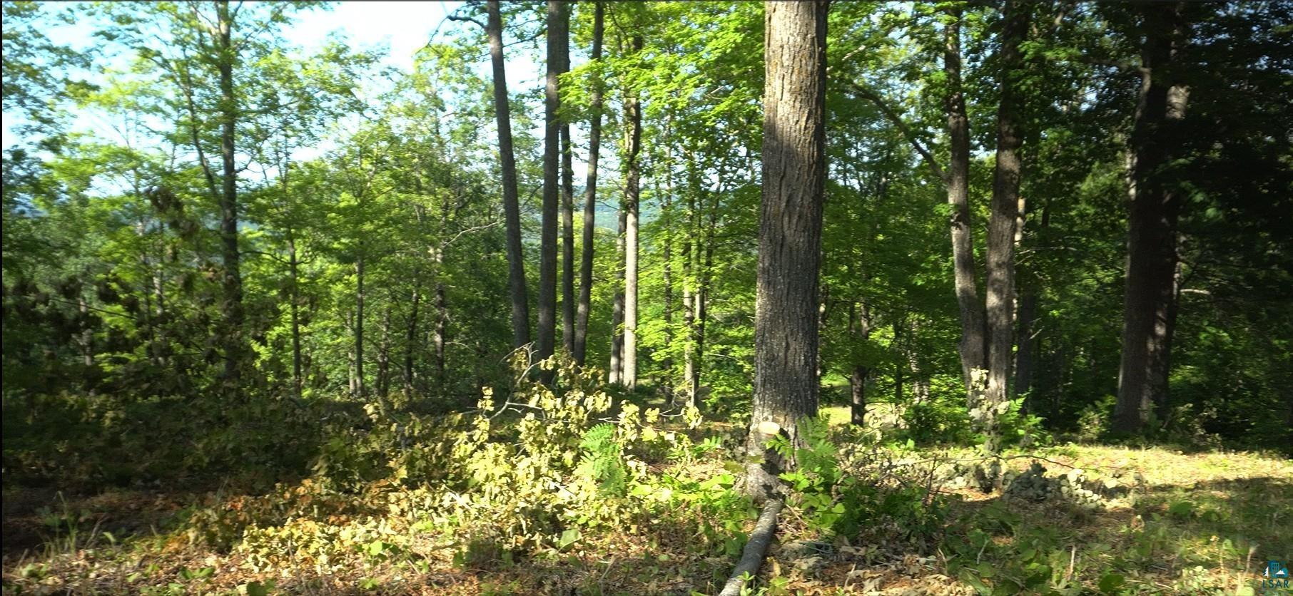 83xxx Ashwabay Heights Rd, Bayfield, WI 54814 Listing Photo  3
