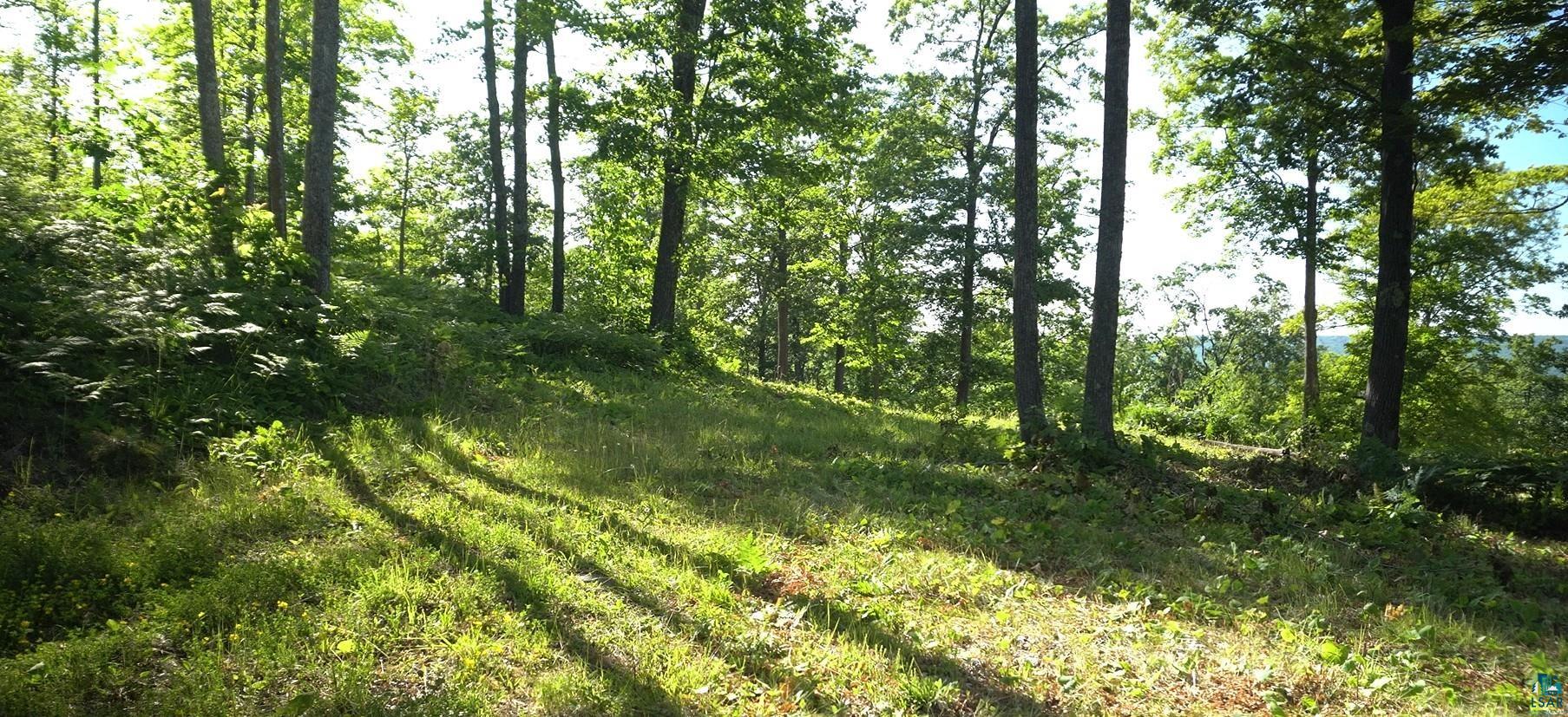 83xxx Ashwabay Heights Rd, Bayfield, WI 54814 Listing Photo  4