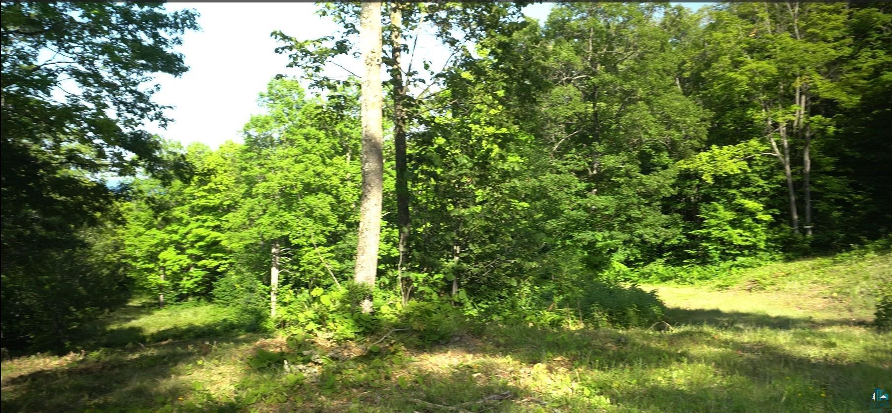83xxx Ashwabay Heights Rd, Bayfield, WI 54814 Listing Photo  5