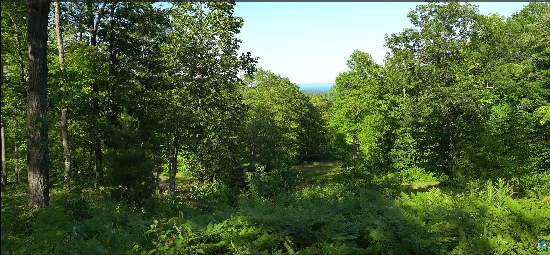 83xxx Ashwabay Heights Rd, Bayfield, WI 54814 Listing Photo  6