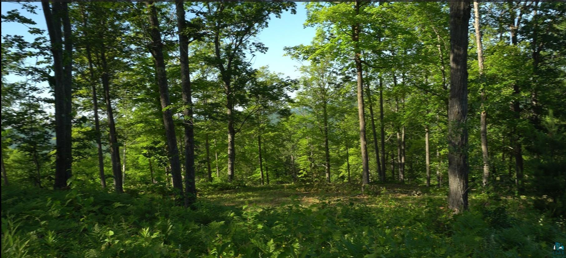 83xxx Ashwabay Heights Rd, Bayfield, WI 54814 Listing Photo  7