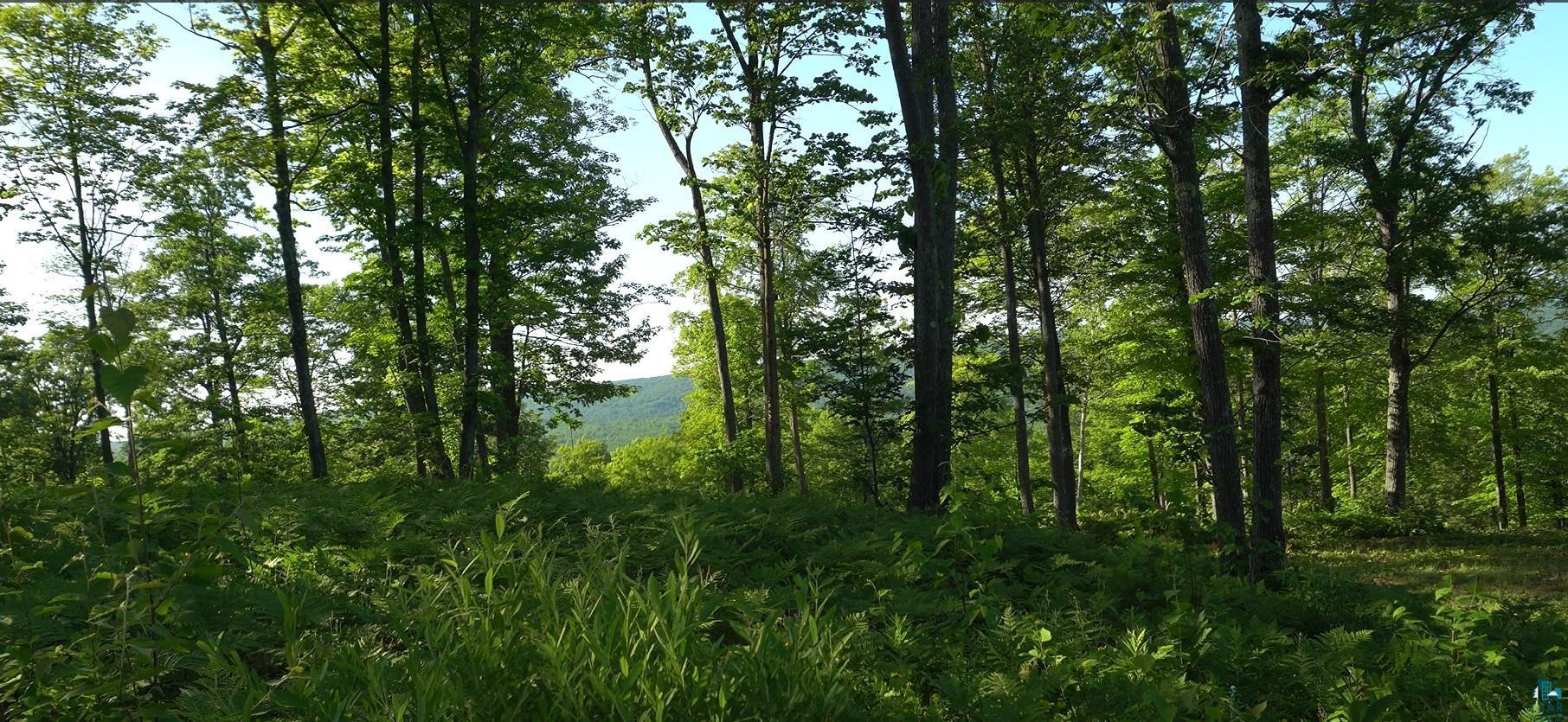 83xxx Ashwabay Heights Rd, Bayfield, WI 54814 Listing Photo  8