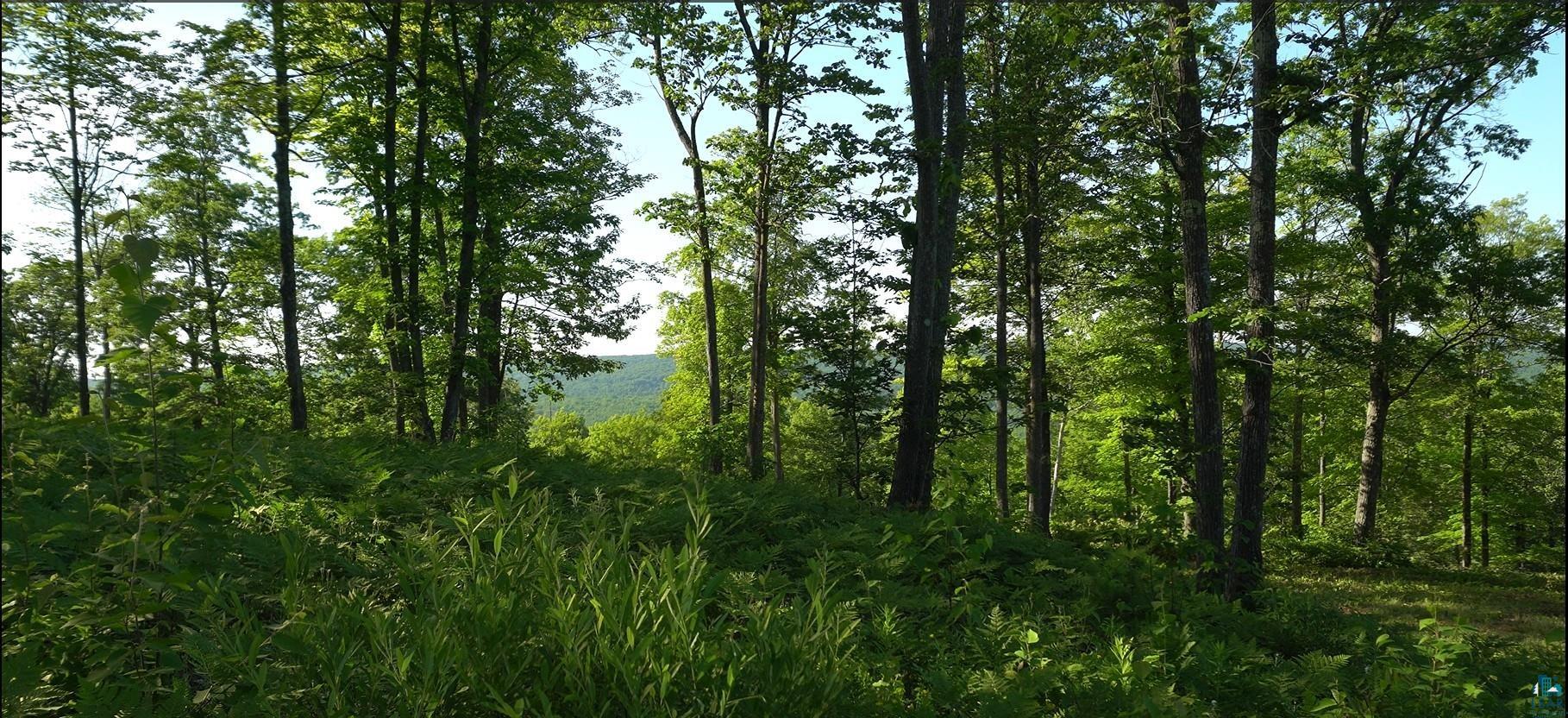 83xxx Ashwabay Heights Rd, Bayfield, WI 54814 Listing Photo  9