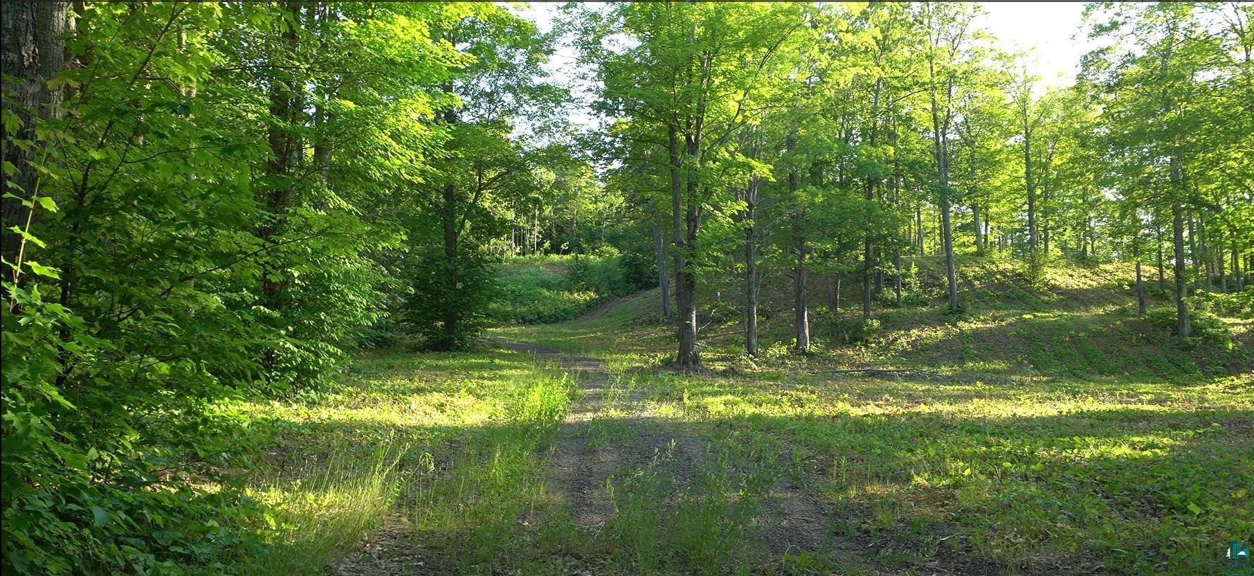 83xxx Ashwabay Heights Rd, Bayfield, WI 54814 Listing Photo  10