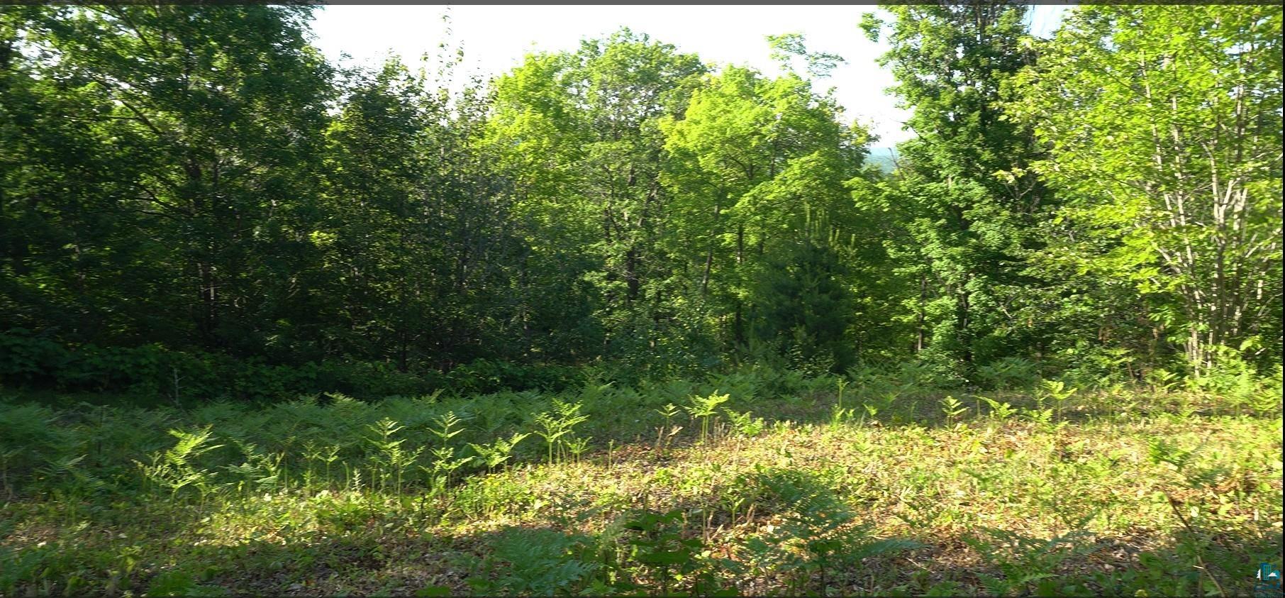 83xxx Ashwabay Heights Rd, Bayfield, WI 54814 Listing Photo  2