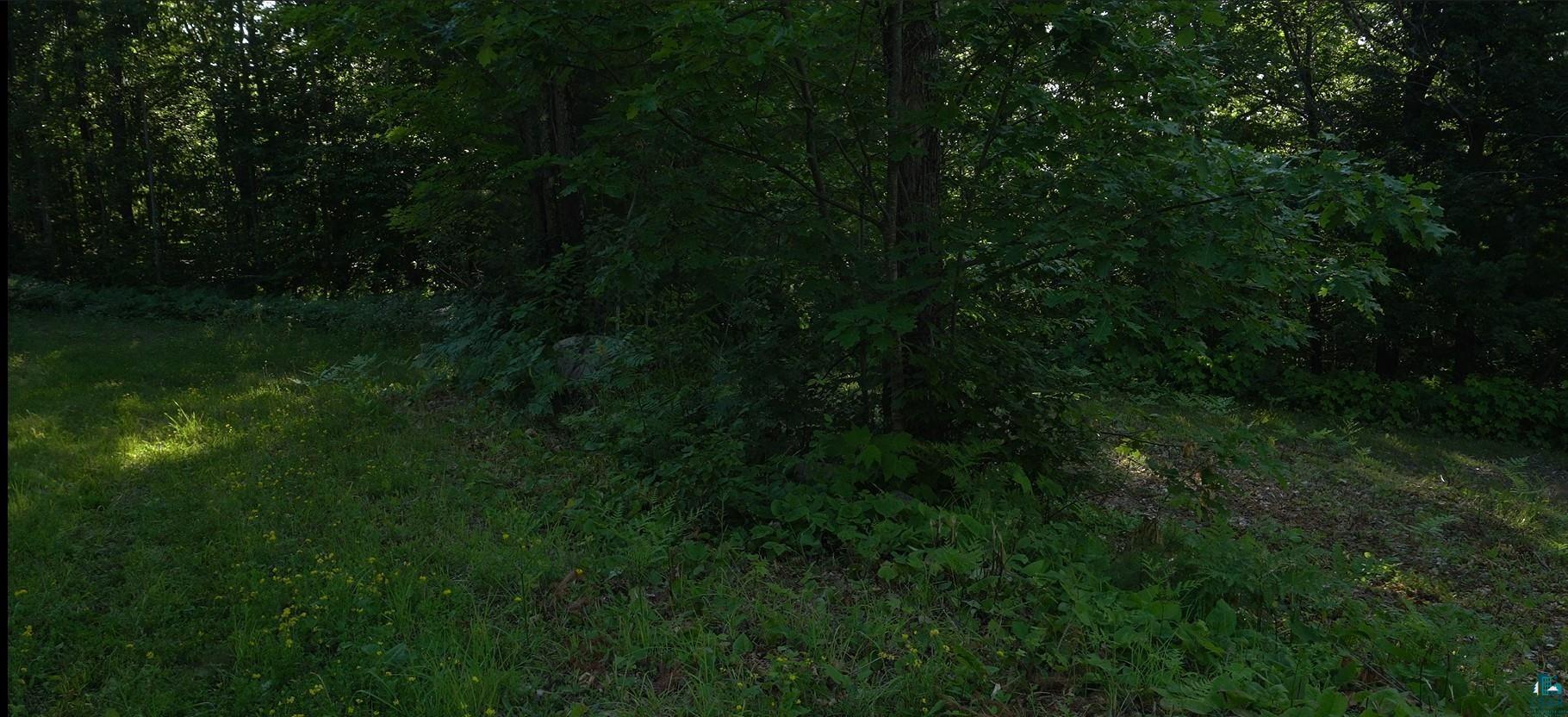83xxx Ashwabay Heights Rd, Bayfield, WI 54814 Listing Photo  3