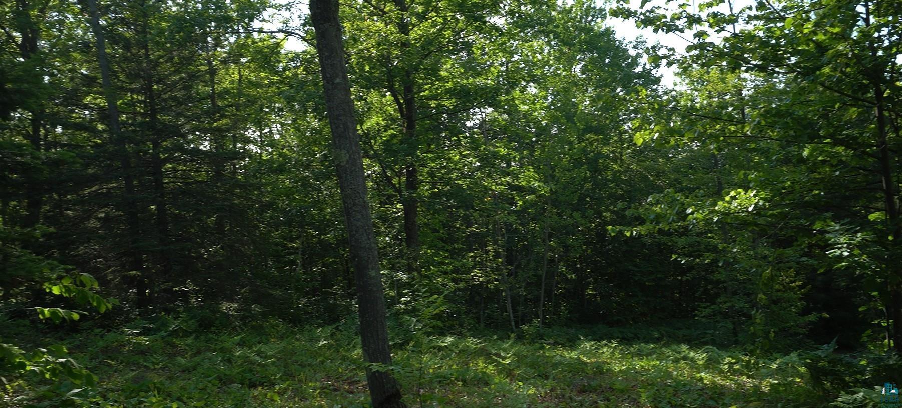 83xxx Ashwabay Heights Rd, Bayfield, WI 54814 Listing Photo  6