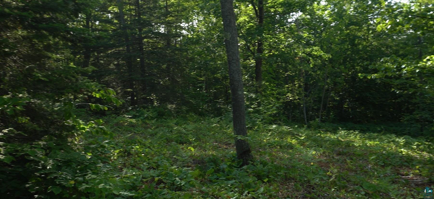 83xxx Ashwabay Heights Rd, Bayfield, WI 54814 Listing Photo  7