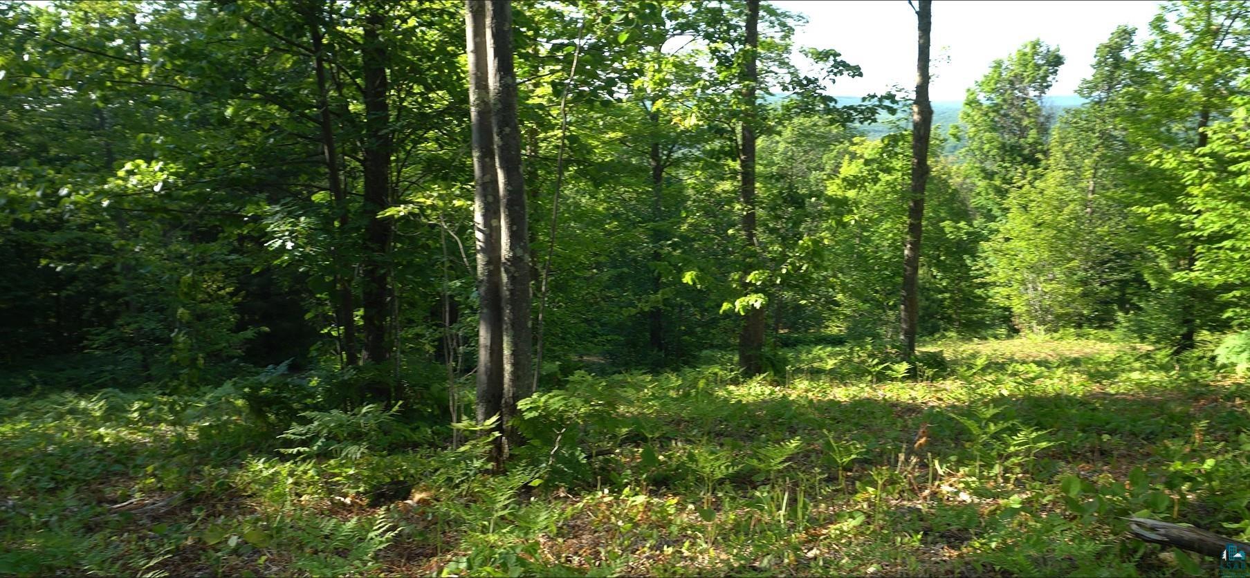 83xxx Ashwabay Heights Rd, Bayfield, WI 54814 Listing Photo  8