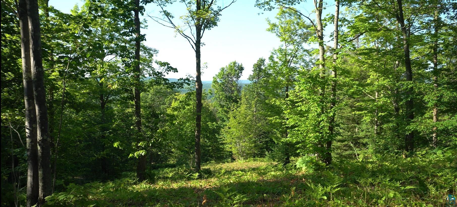 83xxx Ashwabay Heights Rd, Bayfield, WI 54814 Listing Photo  10