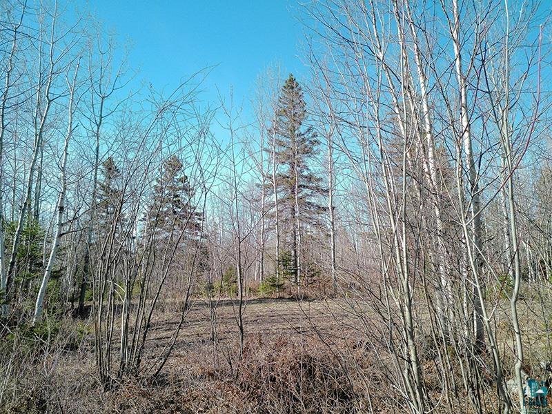 2xx Overlook Tr, Tofte, MN 55615 Listing Photo  1