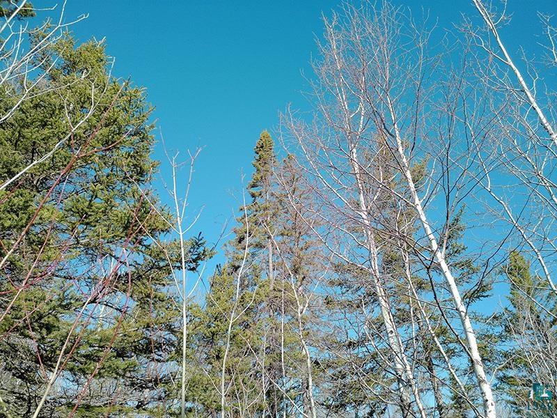 2xx Overlook Tr, Tofte, MN 55615 Listing Photo  15