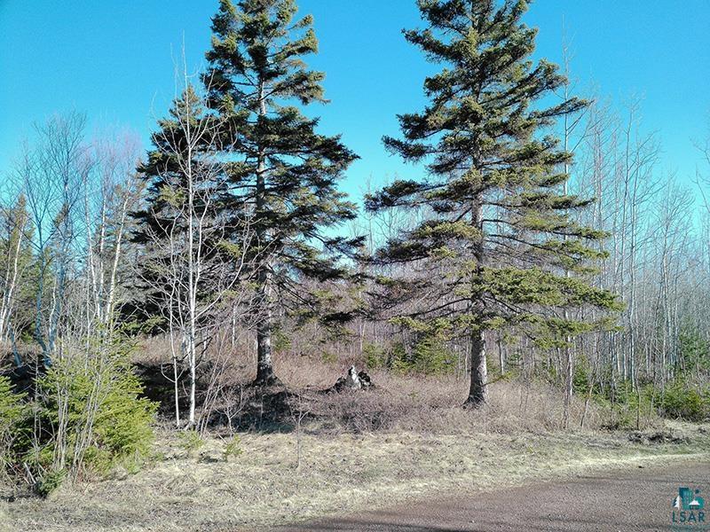 2xx Overlook Tr, Tofte, MN 55615 Listing Photo  8