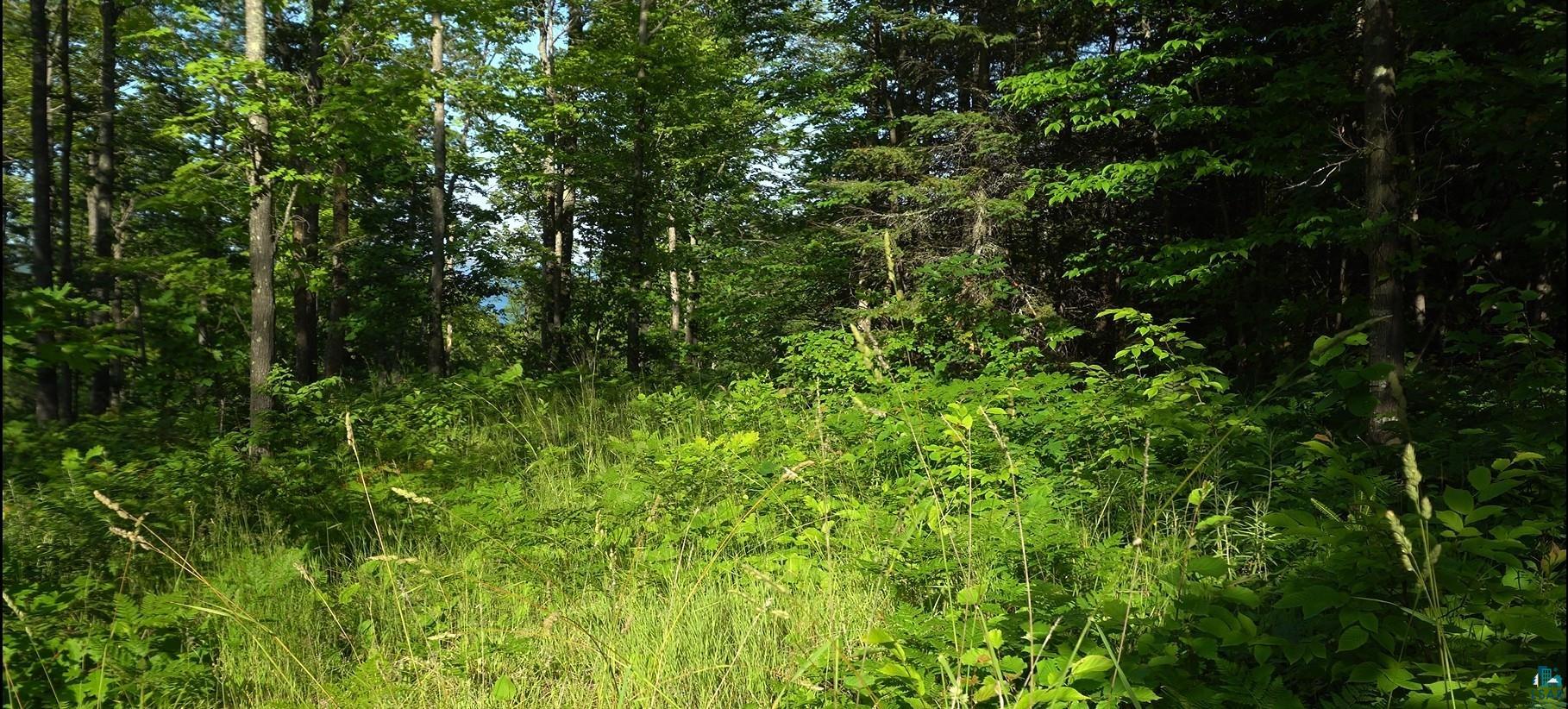 83xxx Ashwabay Heights Rd, Bayfield, WI 54814 Listing Photo  2