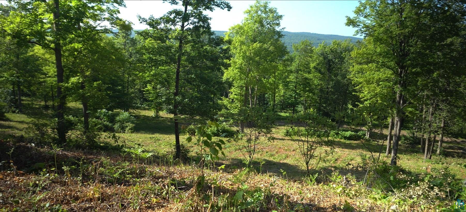 83xxx Ashwabay Heights Rd, Bayfield, WI 54814 Listing Photo  4