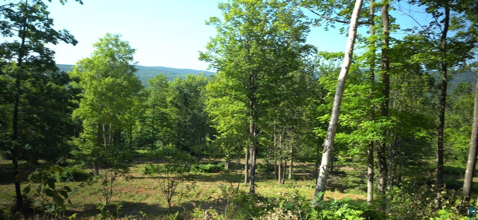 83xxx Ashwabay Heights Rd, Bayfield, WI 54814 Listing Photo  8