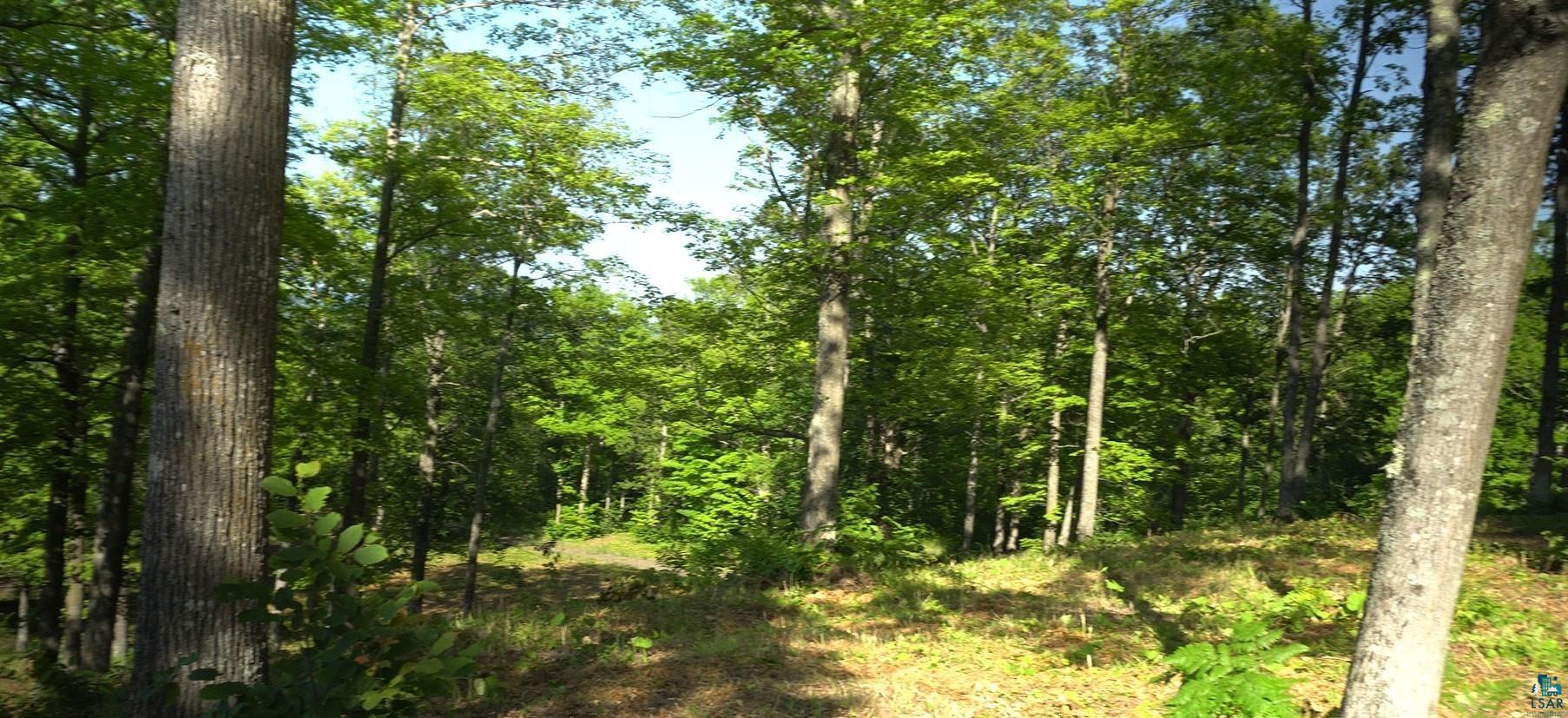 83xxx Ashwabay Heights Rd, Bayfield, WI 54814 Listing Photo  9