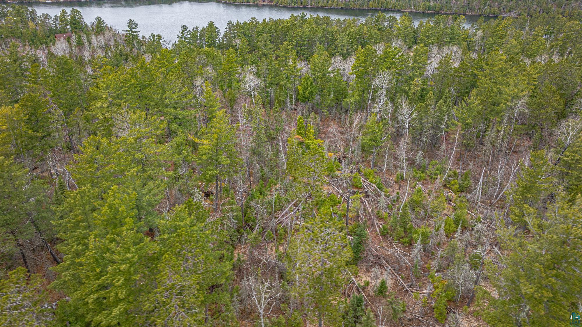 TBD Lindbeck Rd, Ely, MN 55731 Listing Photo  29