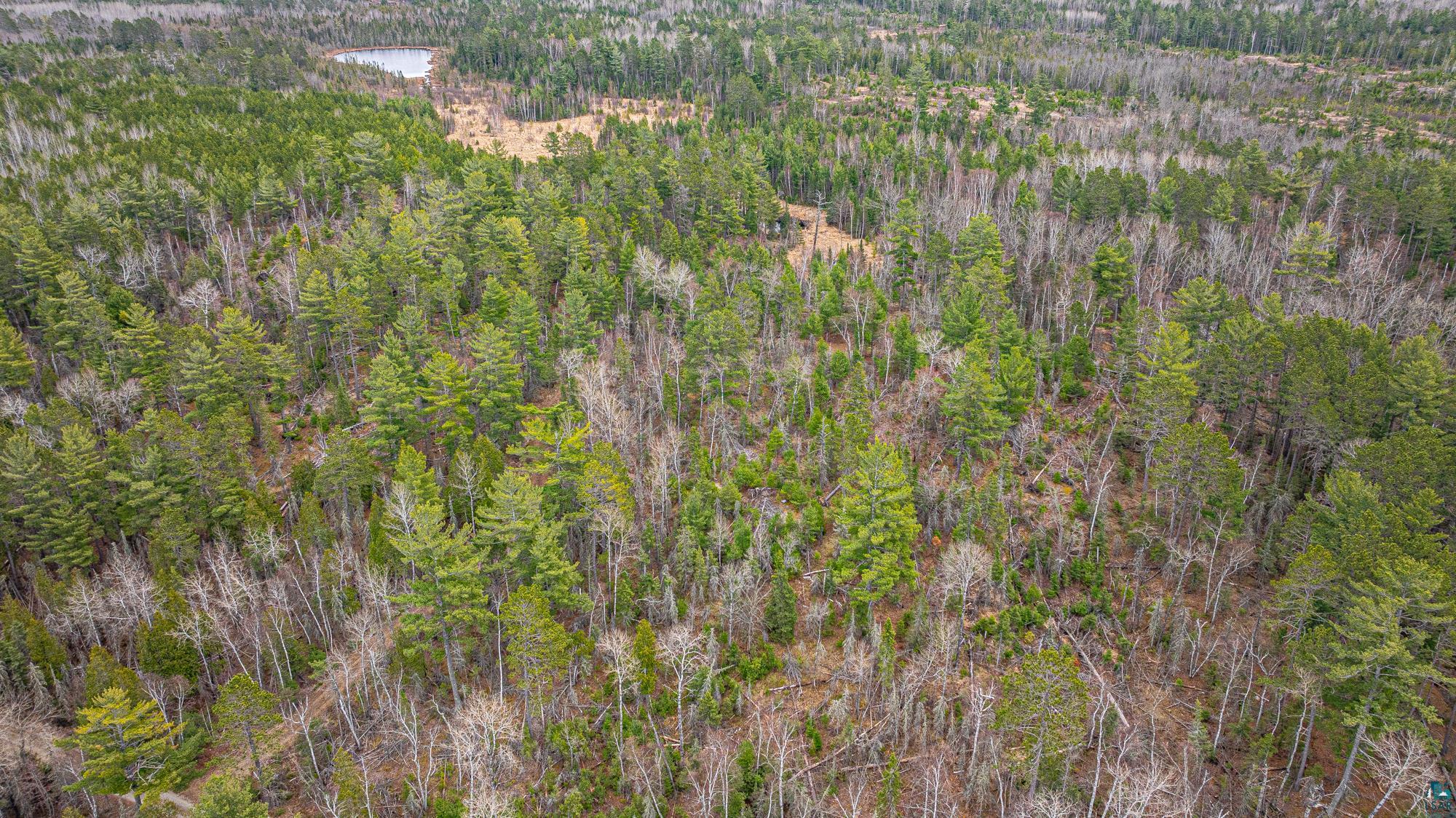 TBD Lindbeck Rd, Ely, MN 55731 Listing Photo  41