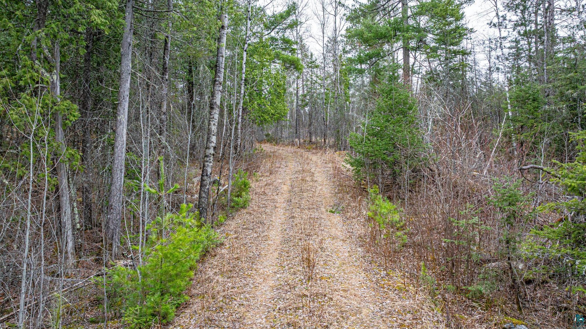 TBD Lindbeck Rd, Ely, MN 55731 Listing Photo  6