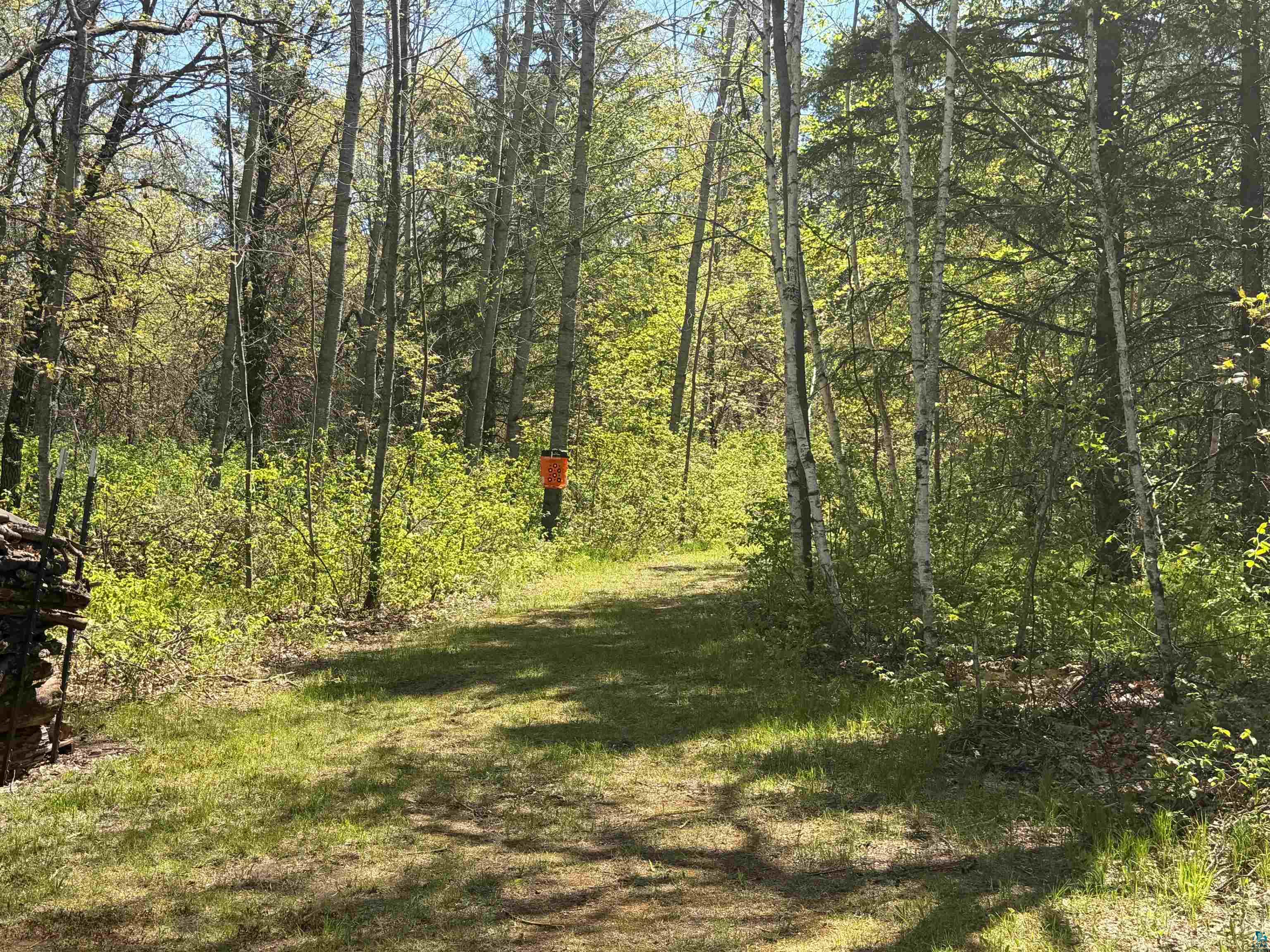 12235 E Crooked Lake Rd, Gordon, WI 54838 Listing Photo  4