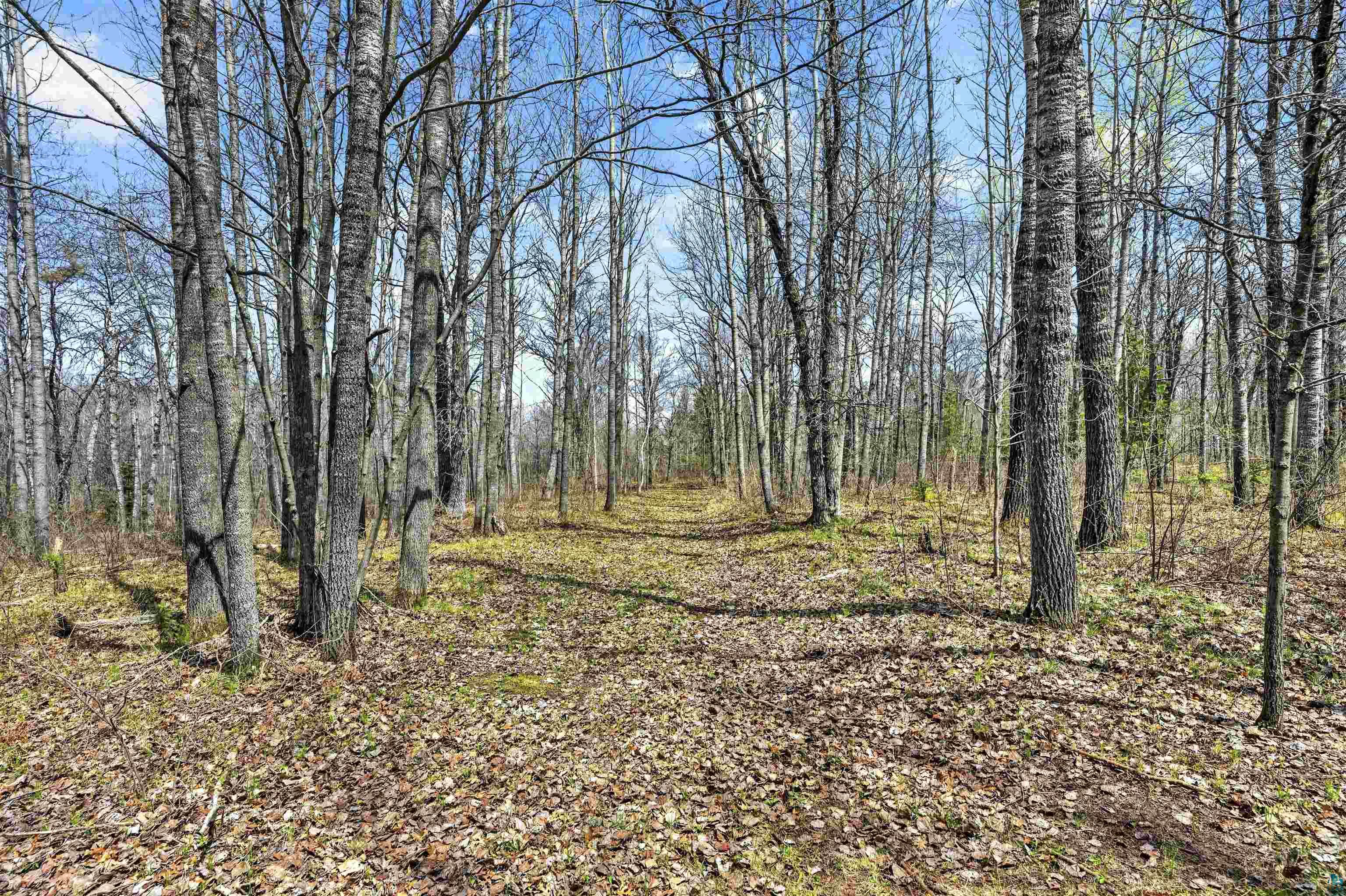 12235 E Crooked Lake Rd, Gordon, WI 54838 Listing Photo  39