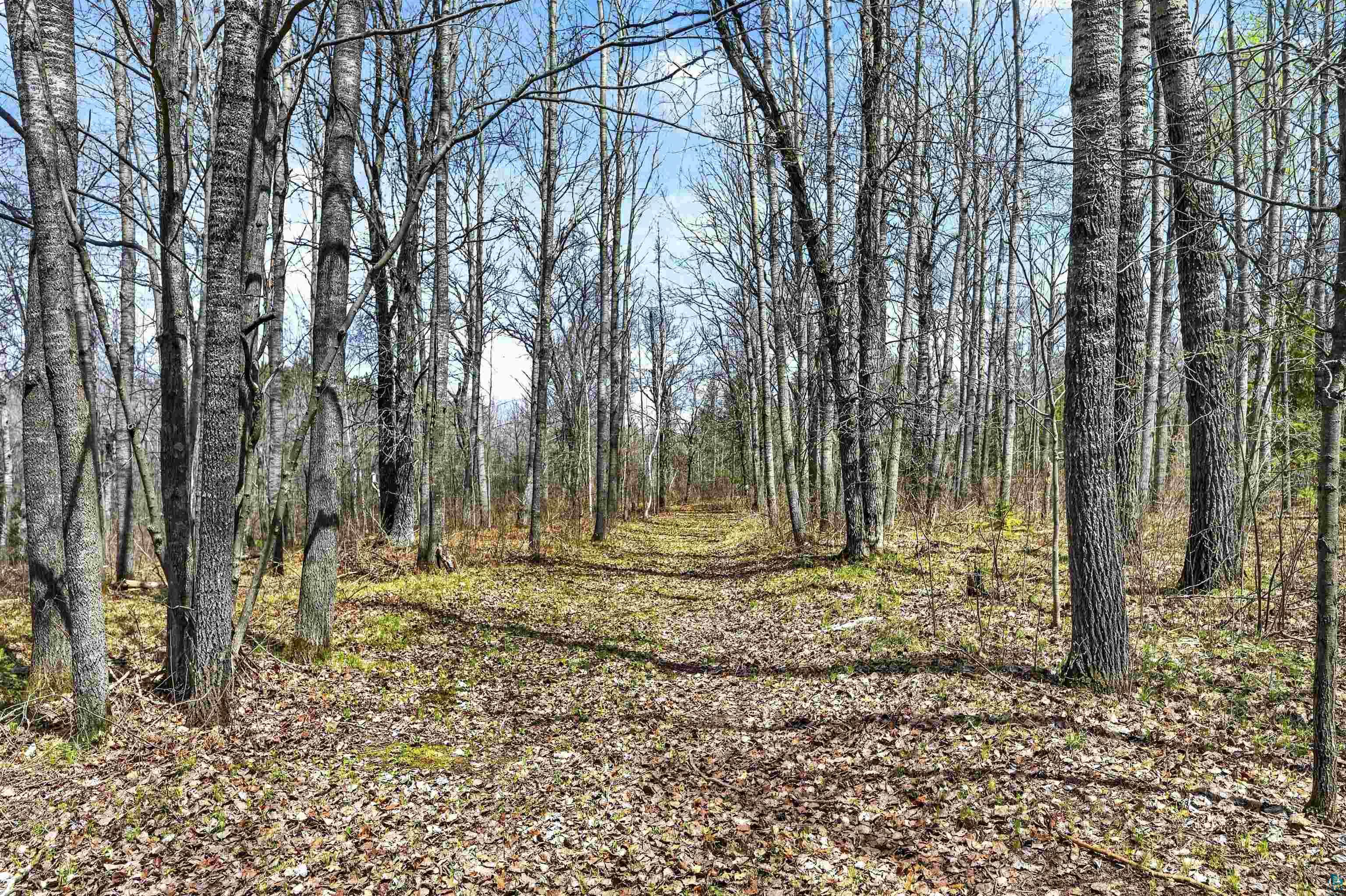 12235 E Crooked Lake Rd, Gordon, WI 54838 Listing Photo  40