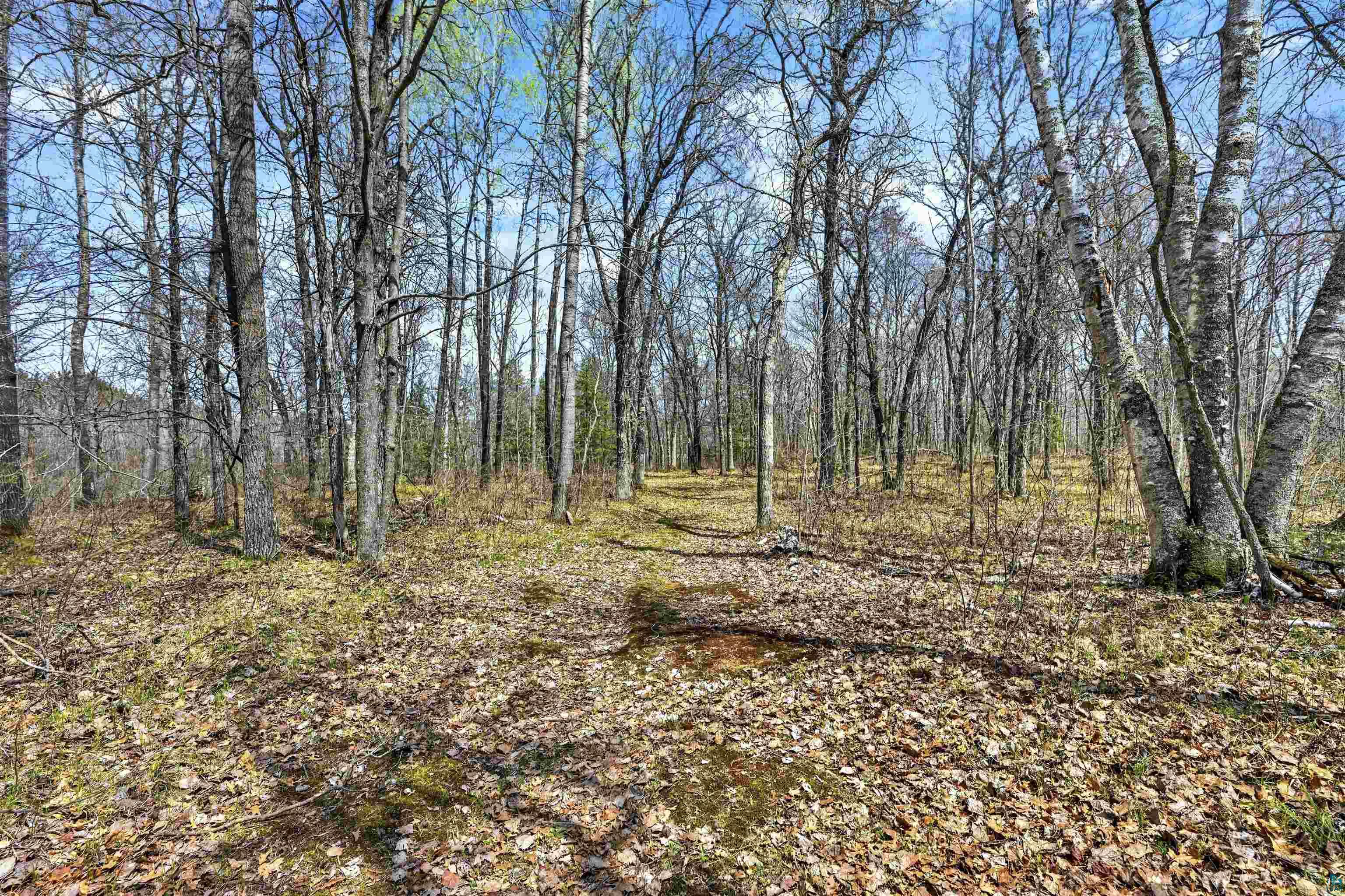 12235 E Crooked Lake Rd, Gordon, WI 54838 Listing Photo  42