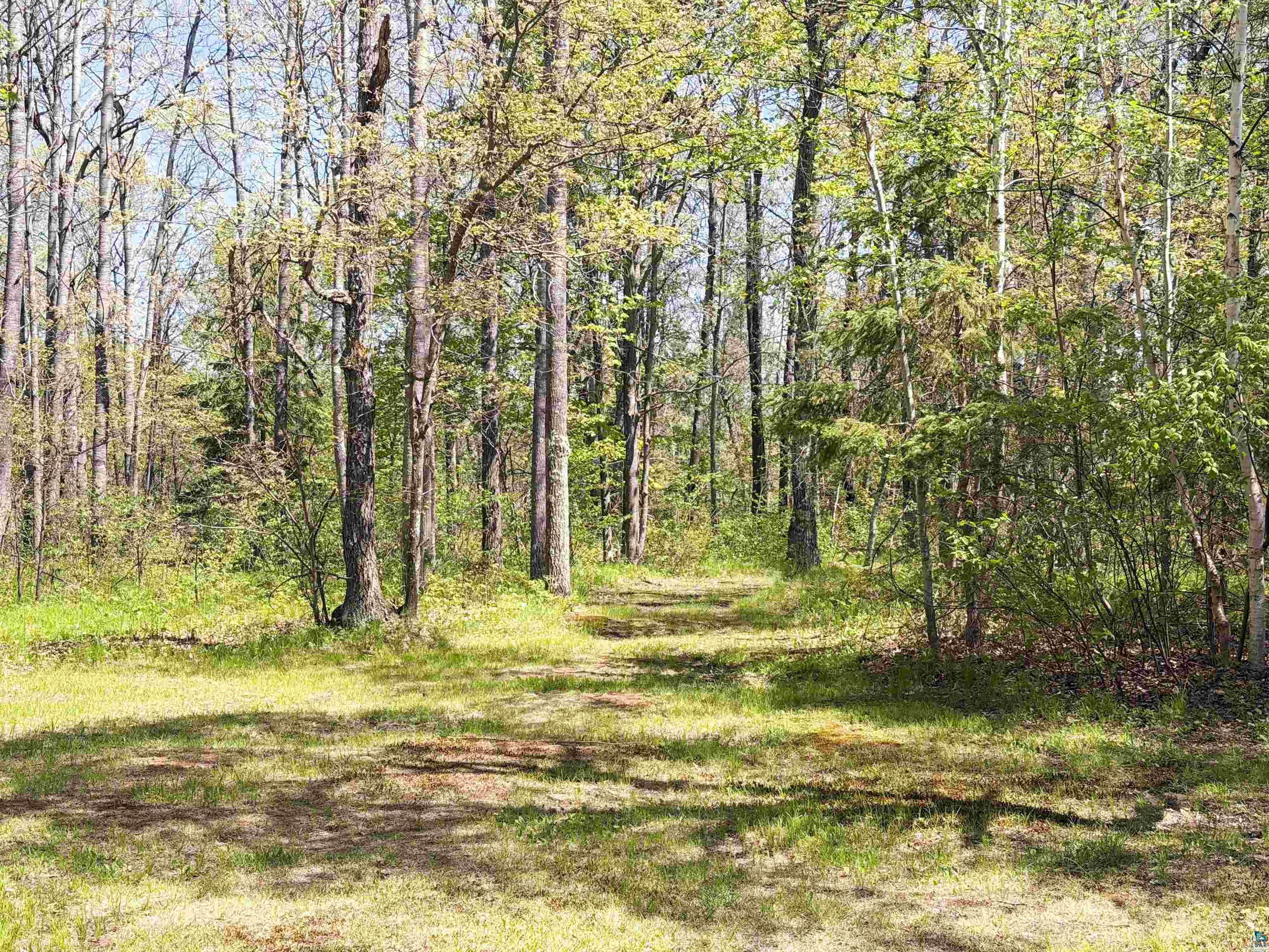 12235 E Crooked Lake Rd, Gordon, WI 54838 Listing Photo  51