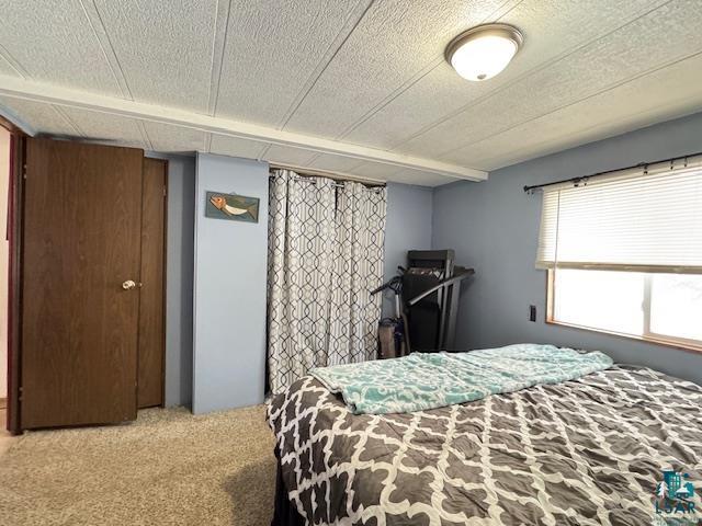 5165 Howard Gnesen Rd, Duluth, MN 55803 Listing Photo  14