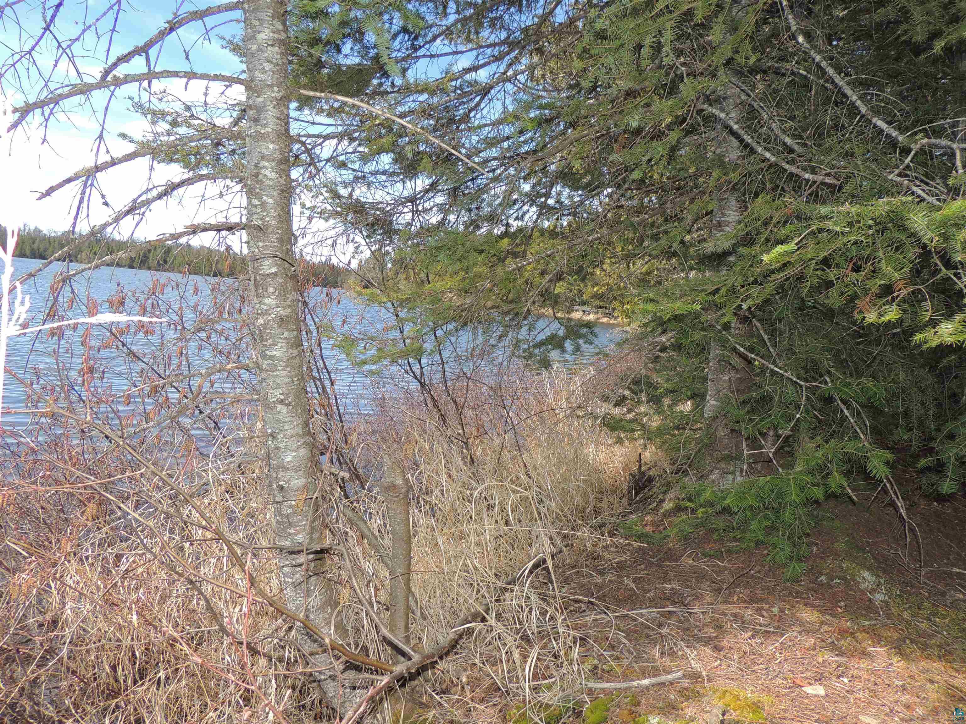 76XX Gunflint Tr, Grand Marais, MN 55604 Listing Photo  5