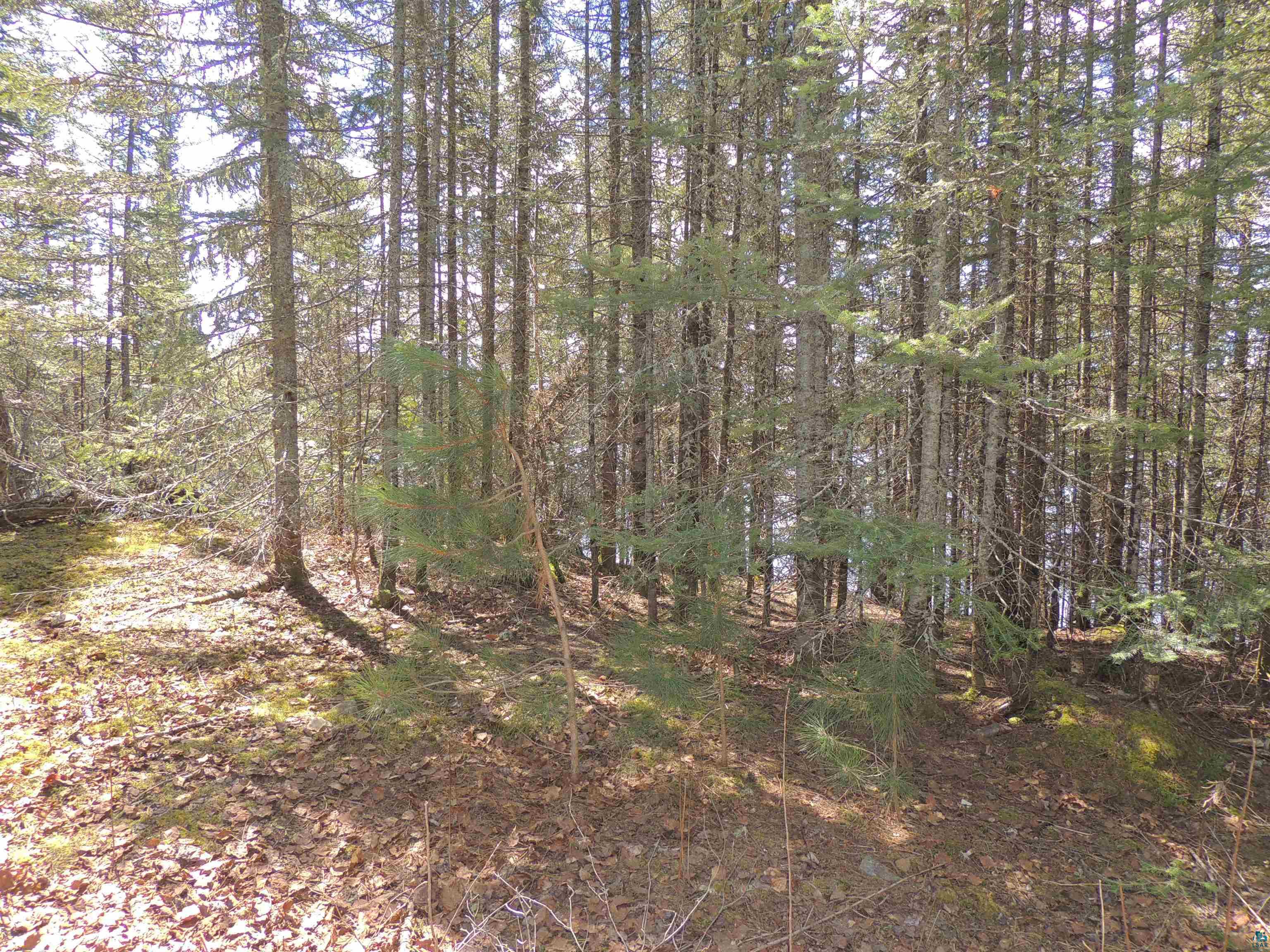 76XX Gunflint Tr, Grand Marais, MN 55604 Listing Photo  7