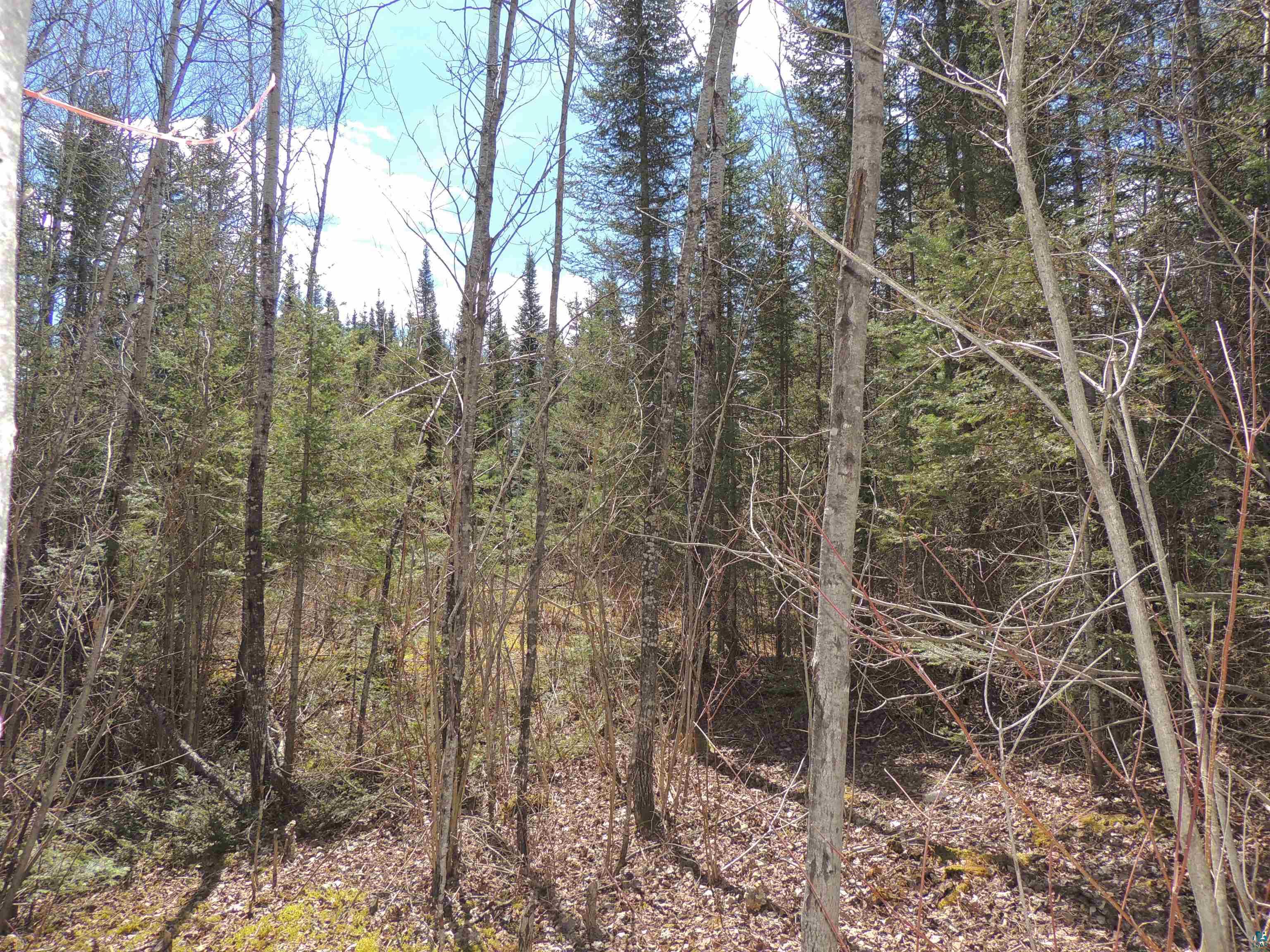 76XX Gunflint Tr, Grand Marais, MN 55604 Listing Photo  9