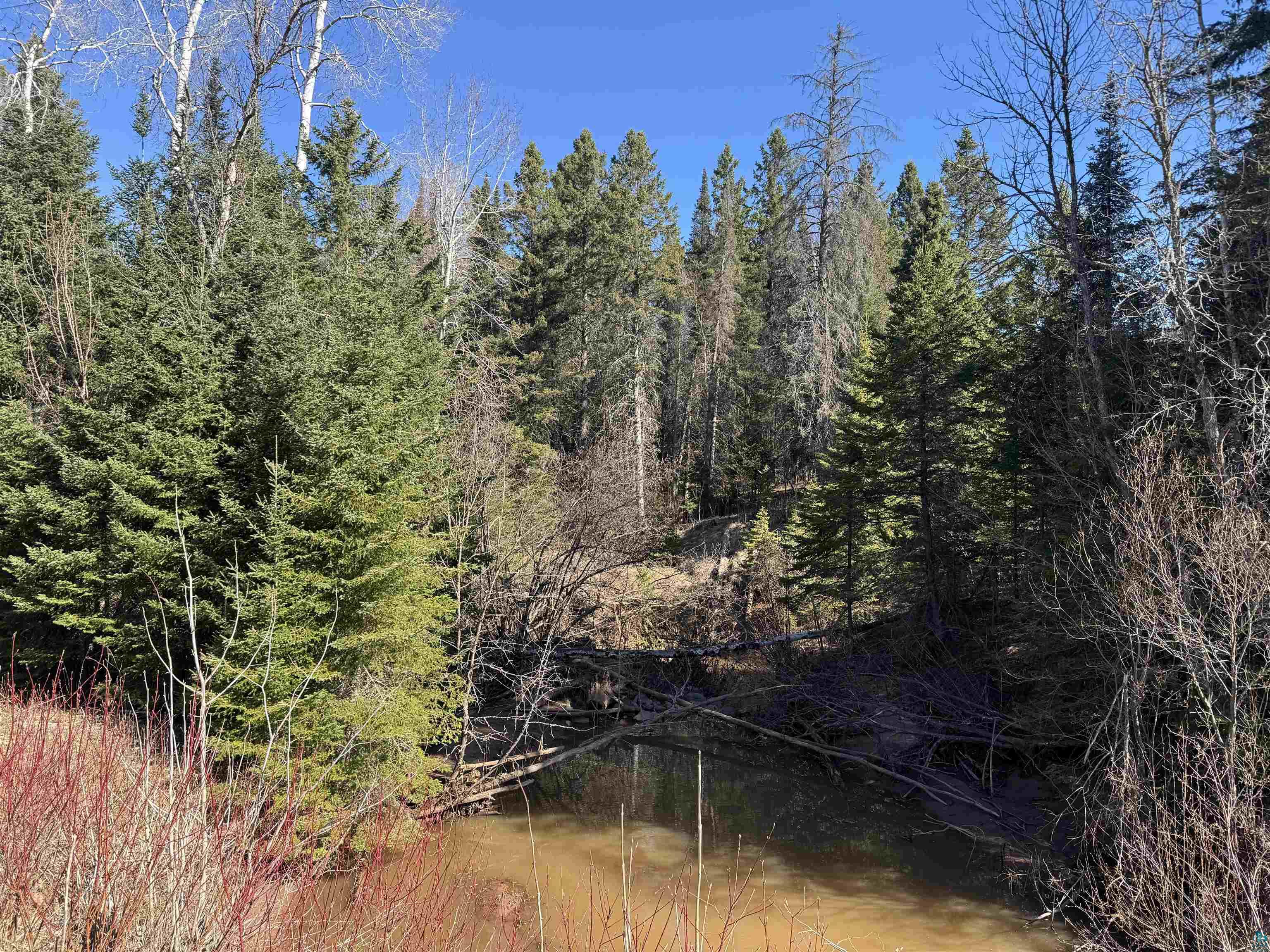 XXX Lund Rd, Maple, WI 54854 Listing Photo  1