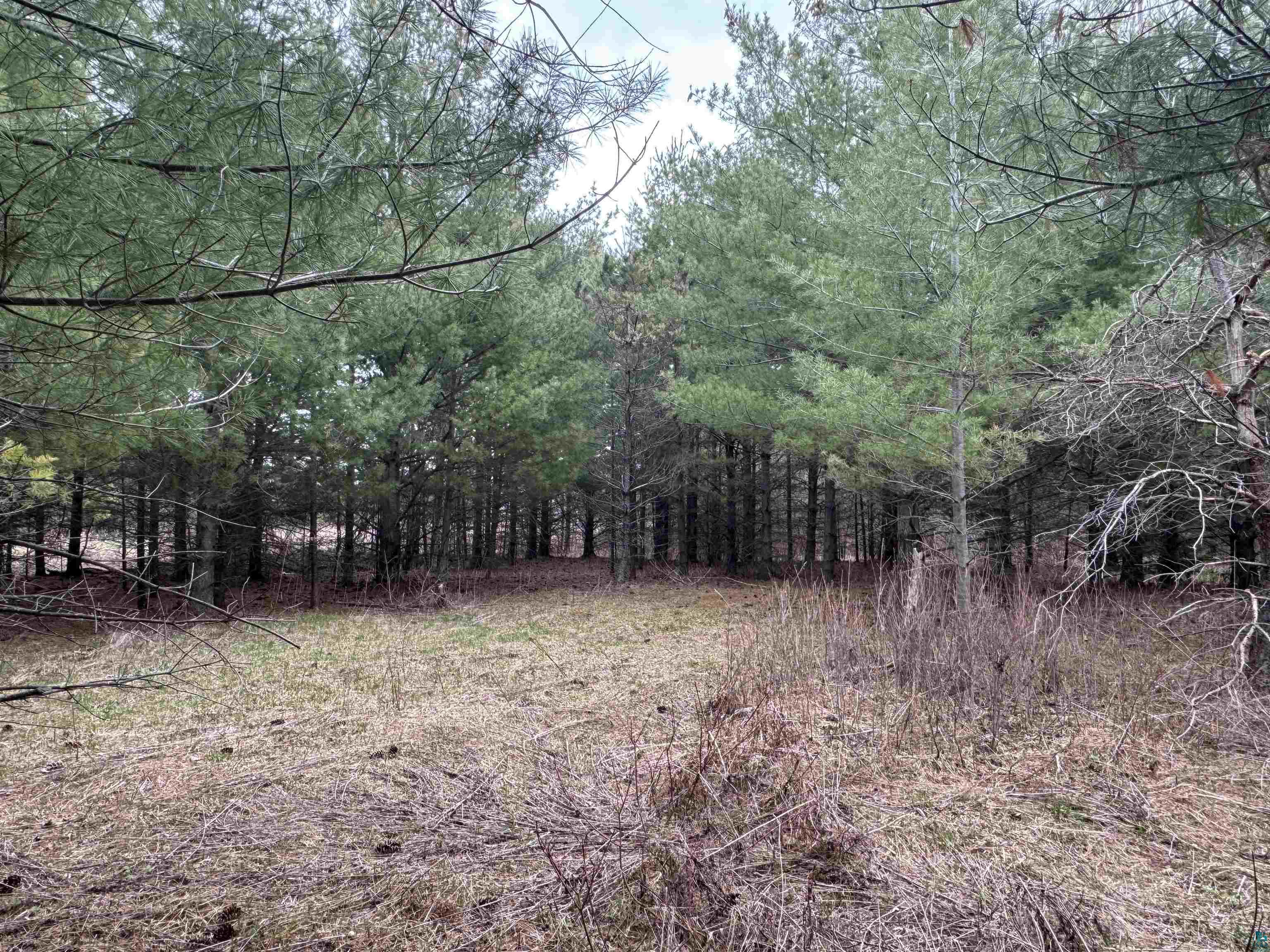 XXX Lund Rd, Maple, WI 54854 Listing Photo  10