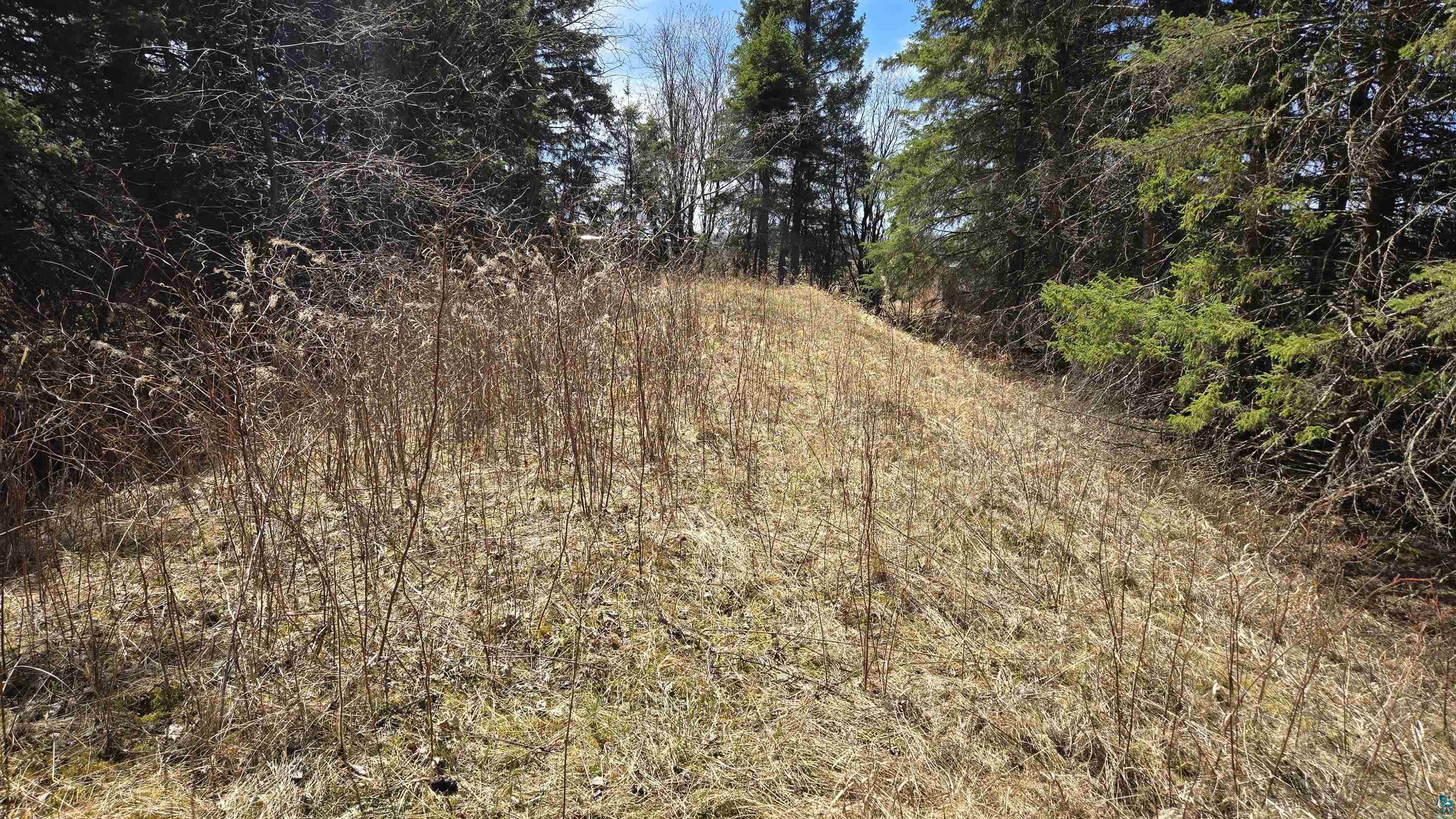 3293 Greaney Rd, Orr, MN 55771 Listing Photo  11