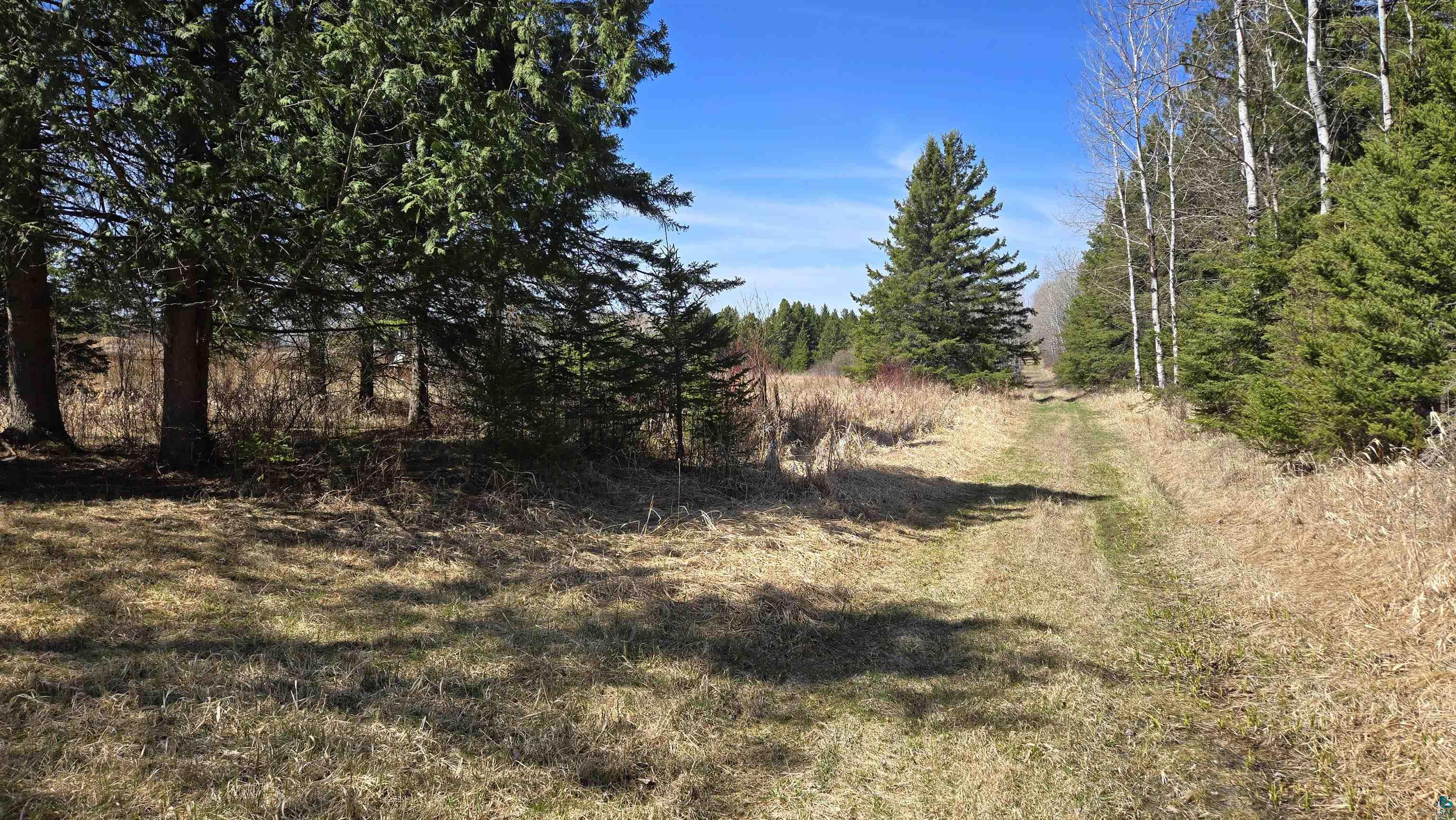 3293 Greaney Rd, Orr, MN 55771 Listing Photo  13