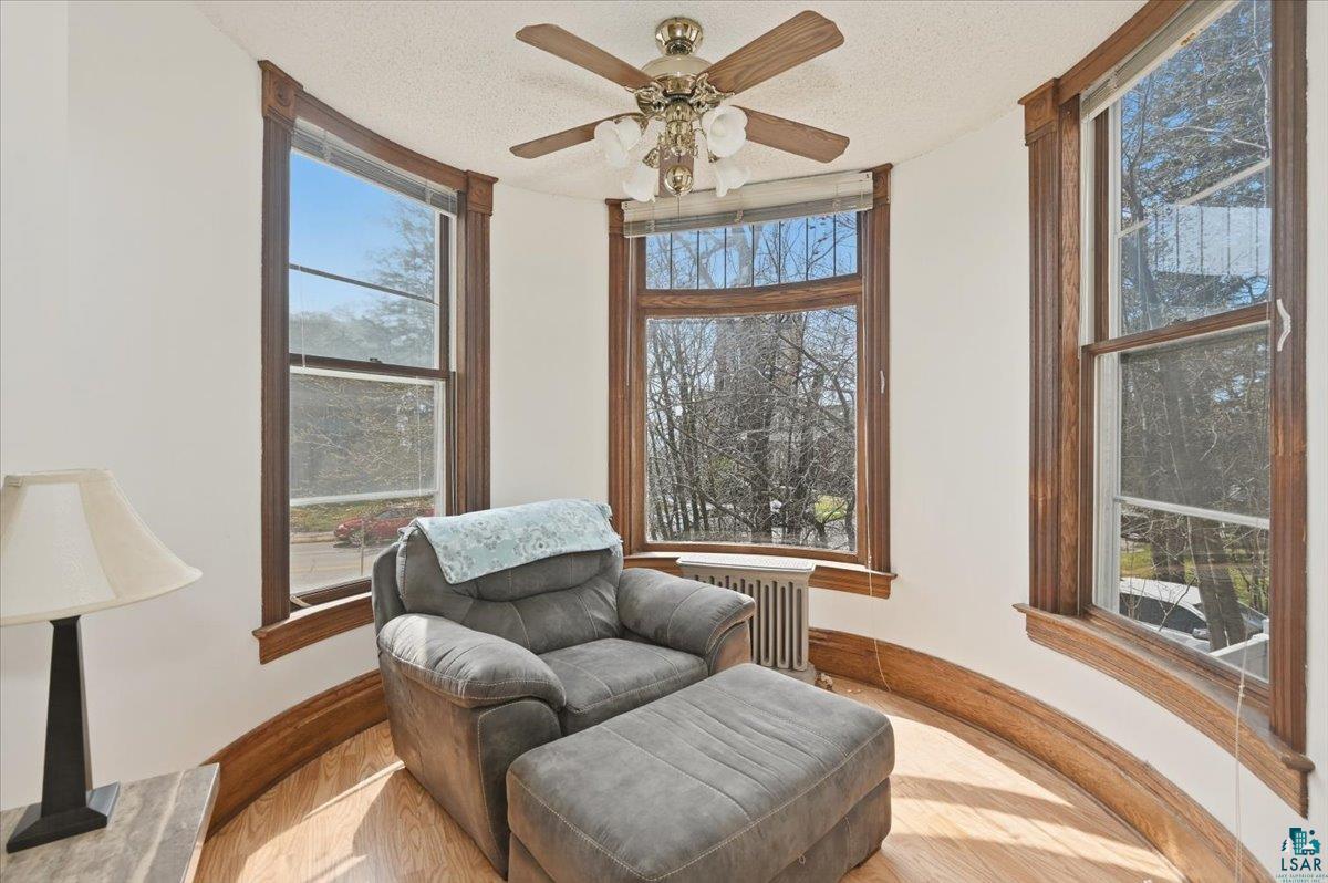 1727 E Superior St, Duluth, MN 55804 Listing Photo  29