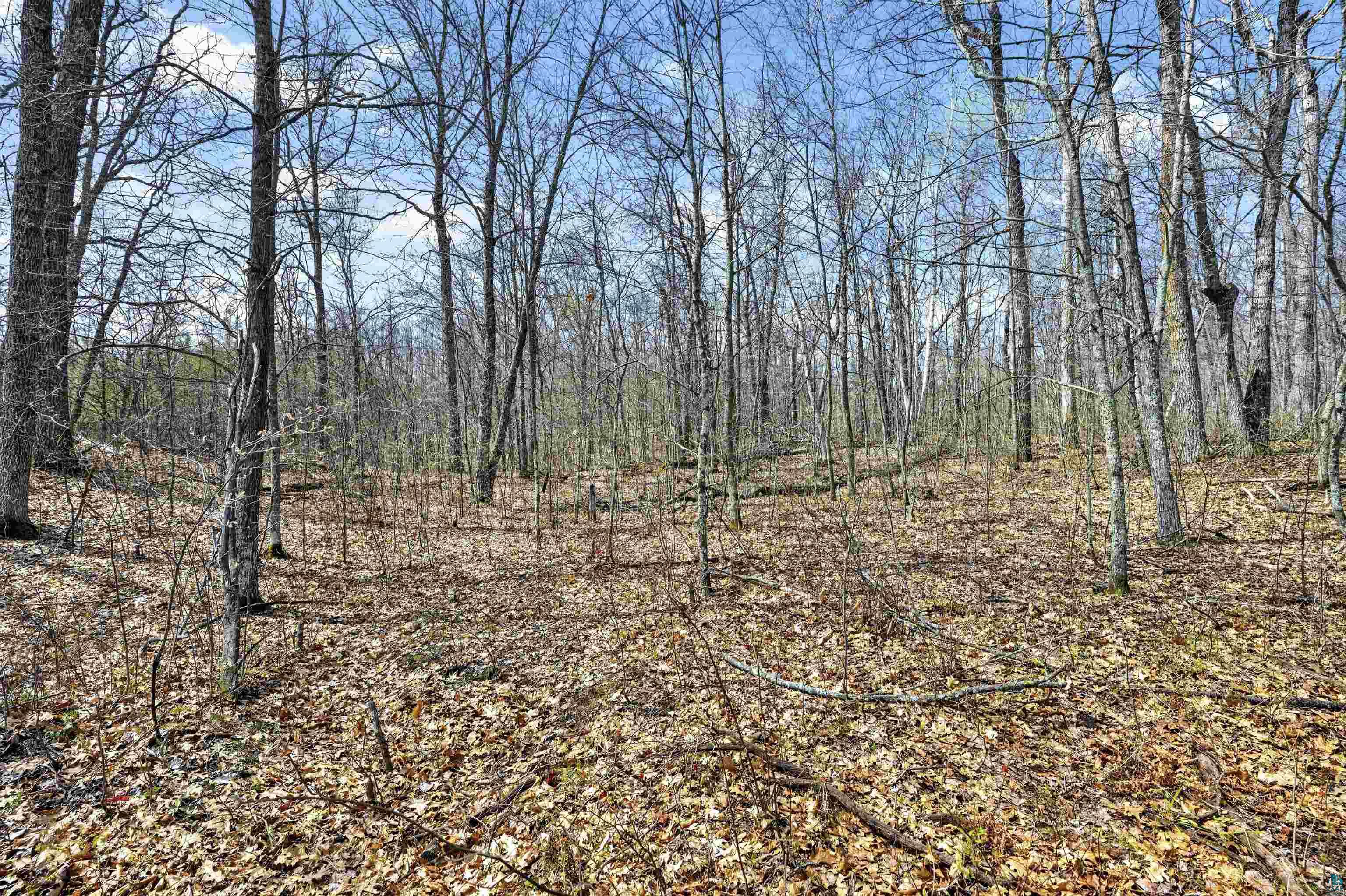 Lot 5 & 6 Peterson Rd, Wascott, WI 54859 Listing Photo  12