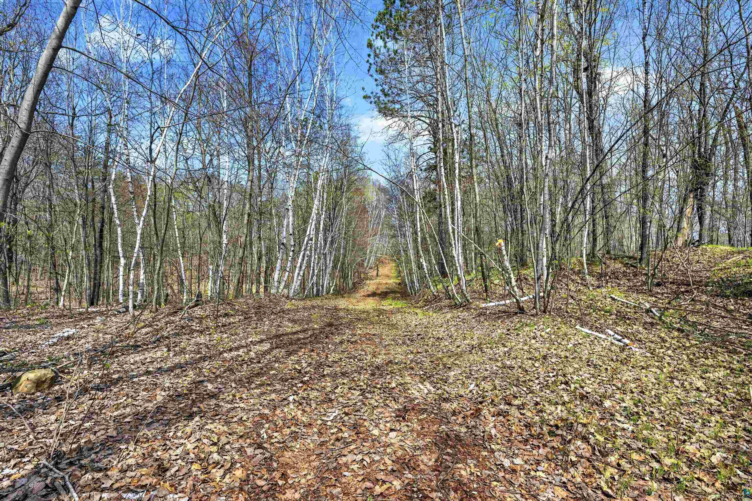 Lot 5 & 6 Peterson Rd, Wascott, WI 54859 Listing Photo  7