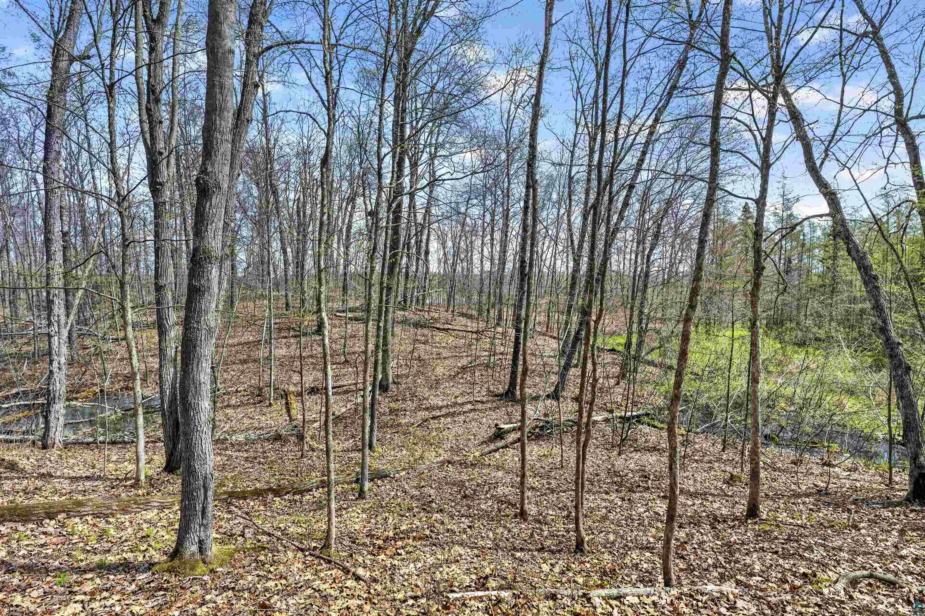 Lot 5 & 6 Peterson Rd, Wascott, WI 54859 Listing Photo  10