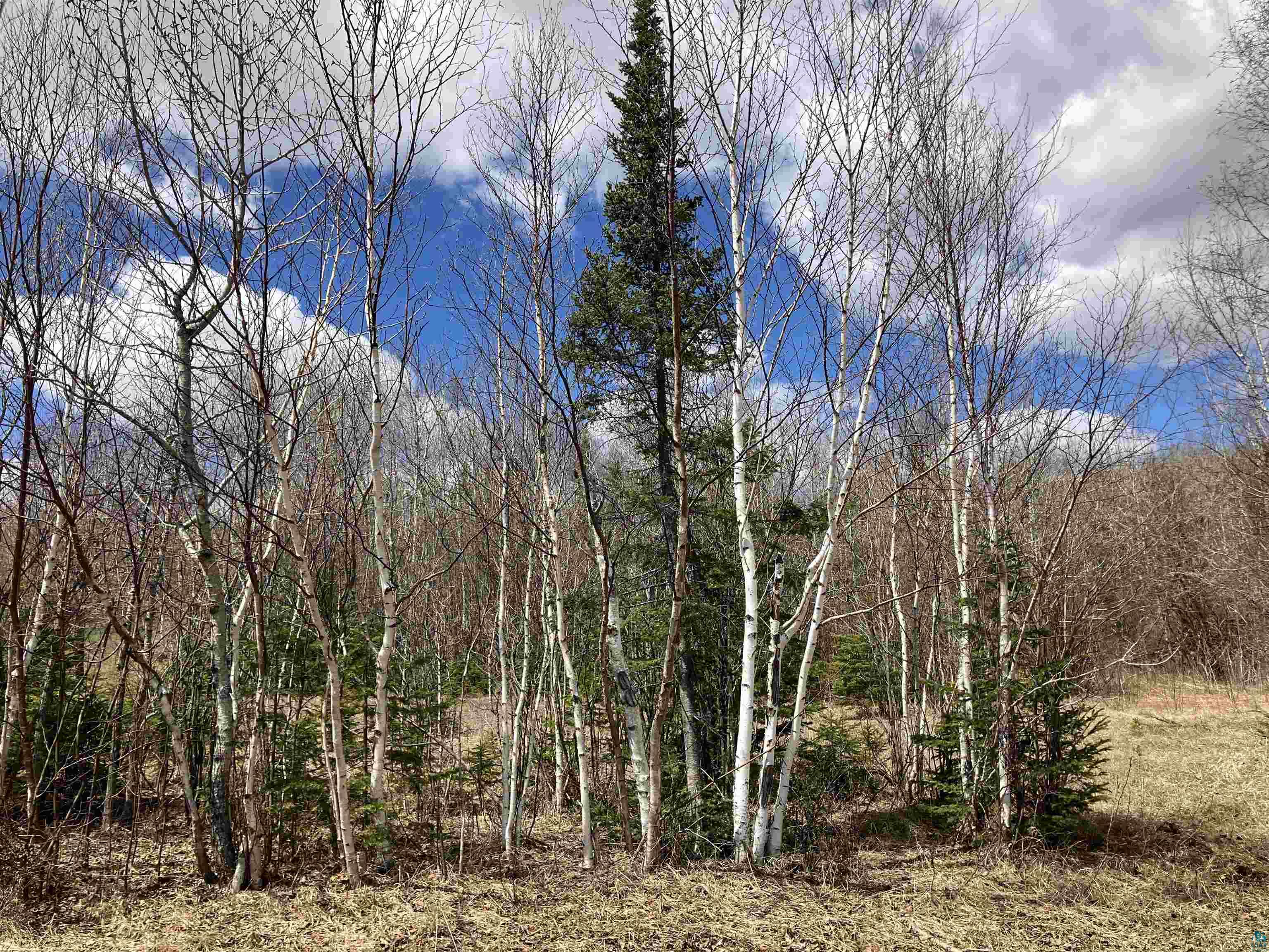 xx Quincy Dr, Silver Bay, MN 55614 Listing Photo  11
