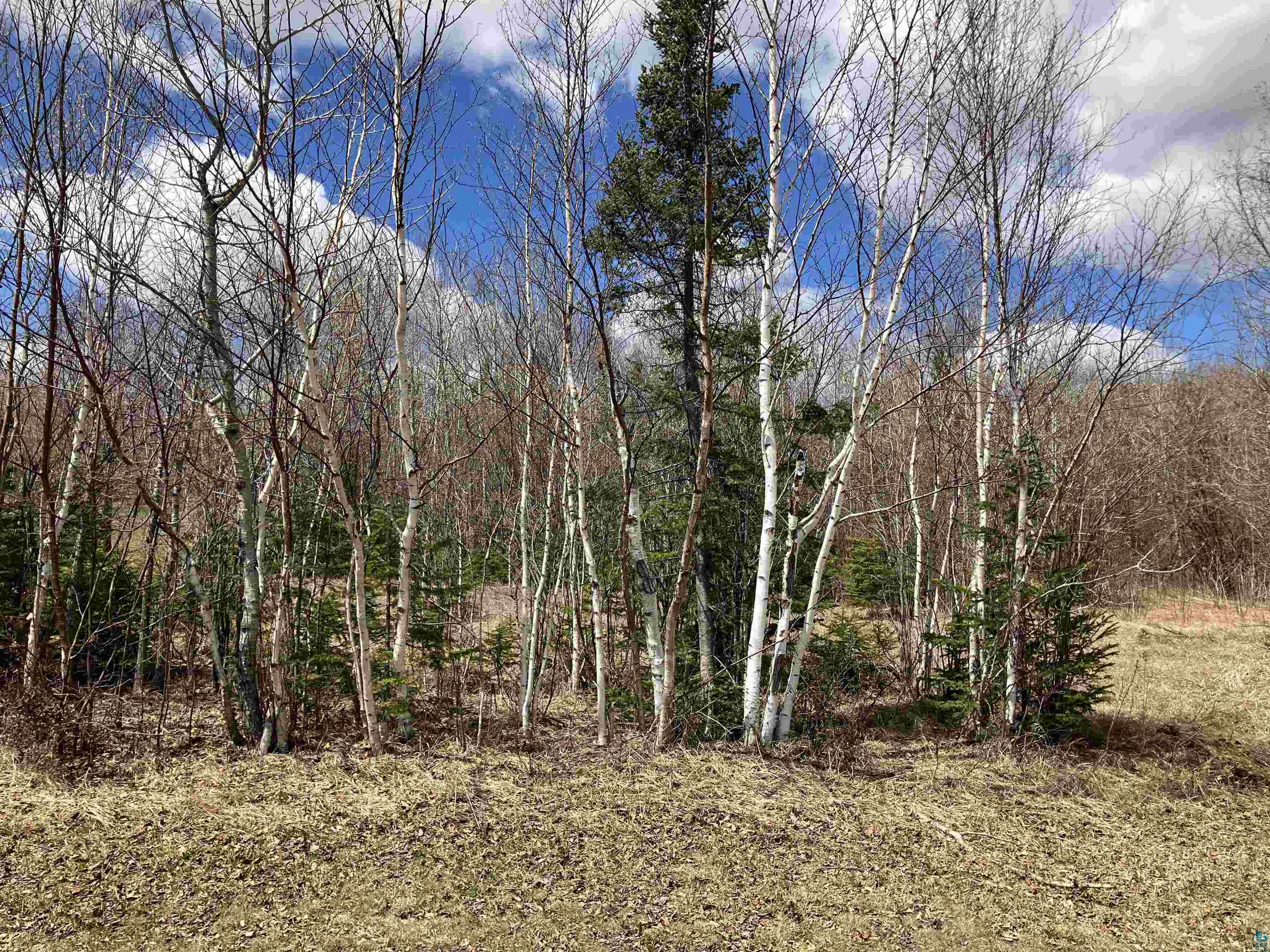 xx Quincy Dr, Silver Bay, MN 55614 Listing Photo  12