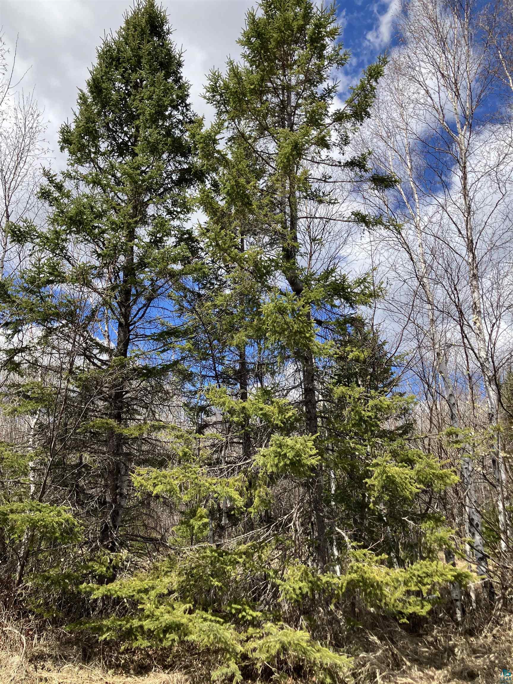 xx Quincy Dr, Silver Bay, MN 55614 Listing Photo  13