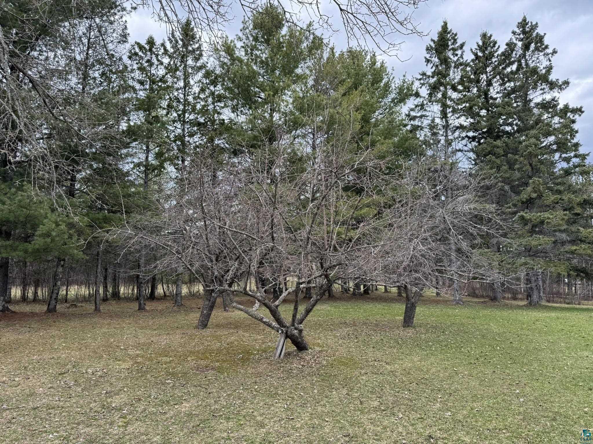 2485 Hwy 12, Two Harbors, MN 55616 Listing Photo  7