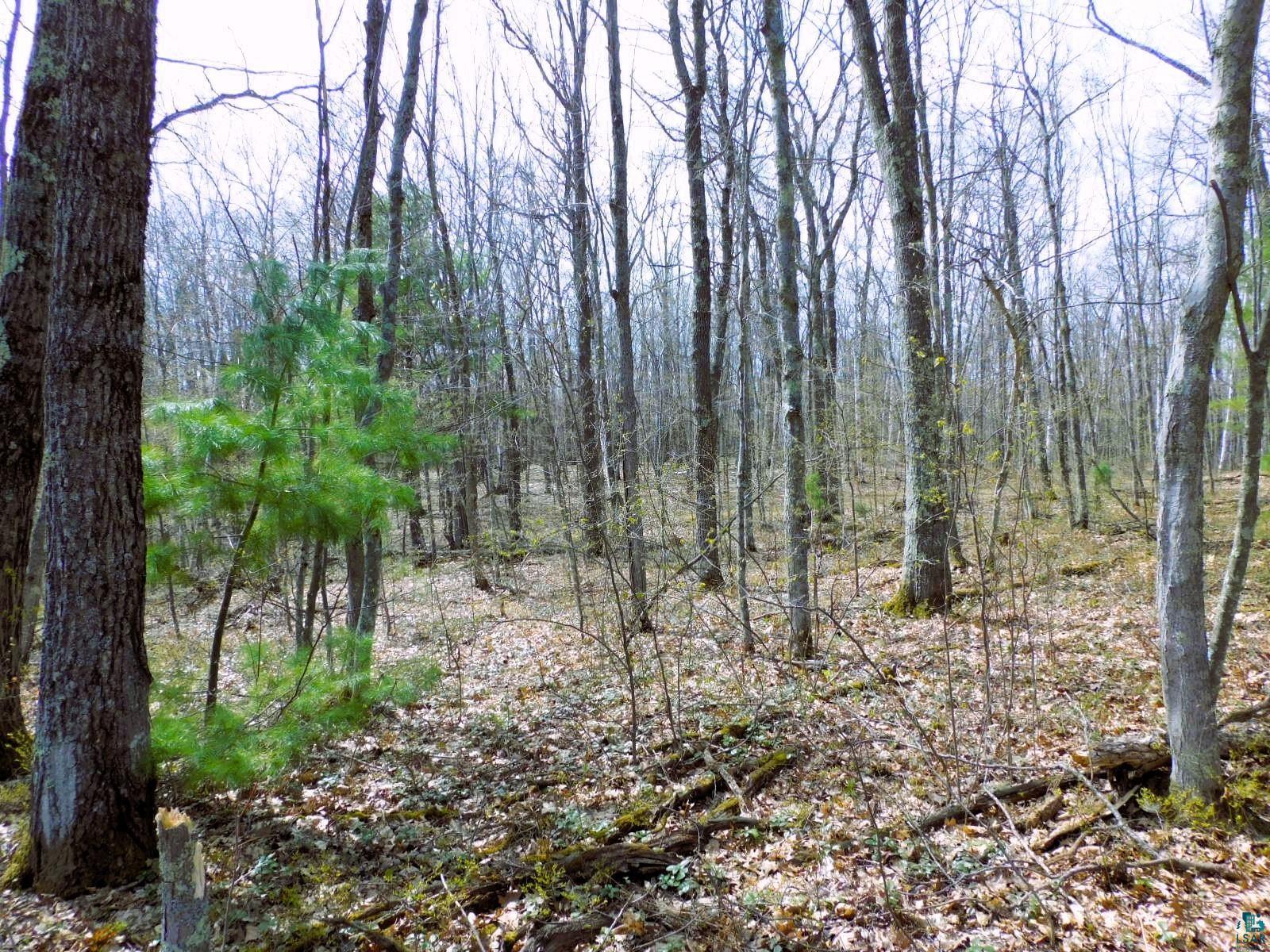 XXXX Polkoski Way, Iron River, WI 54847 Listing Photo  21