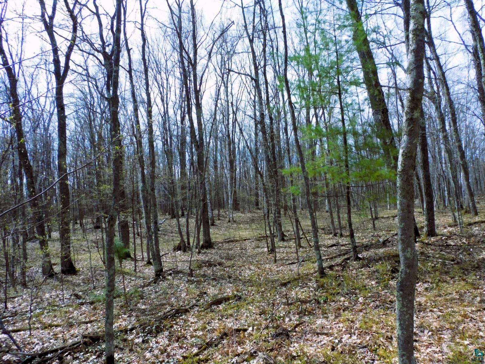 XXXX Polkoski Way, Iron River, WI 54847 Listing Photo  23