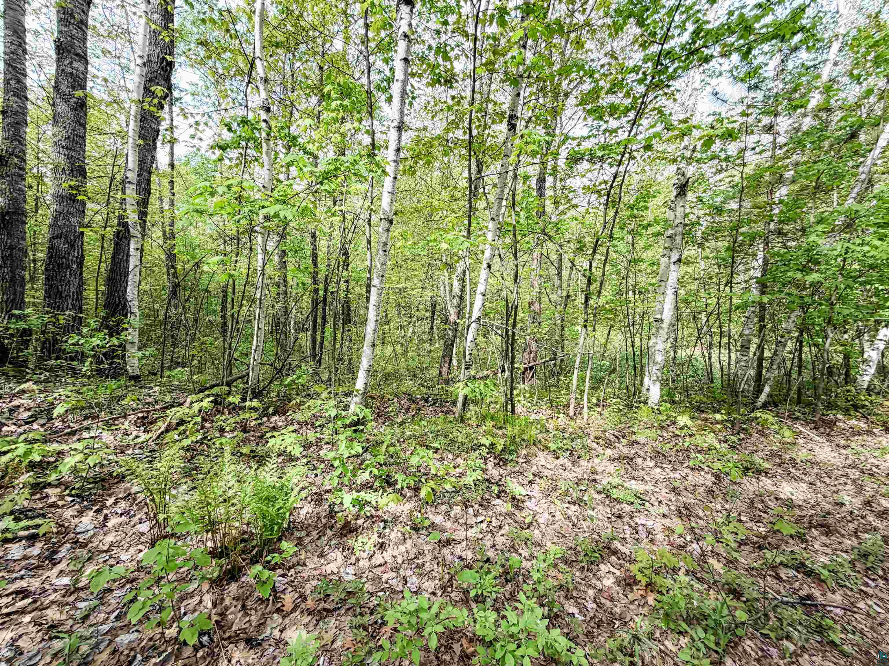 Lot 2 Peterson Rd, Wascott, WI 54859 Listing Photo  1