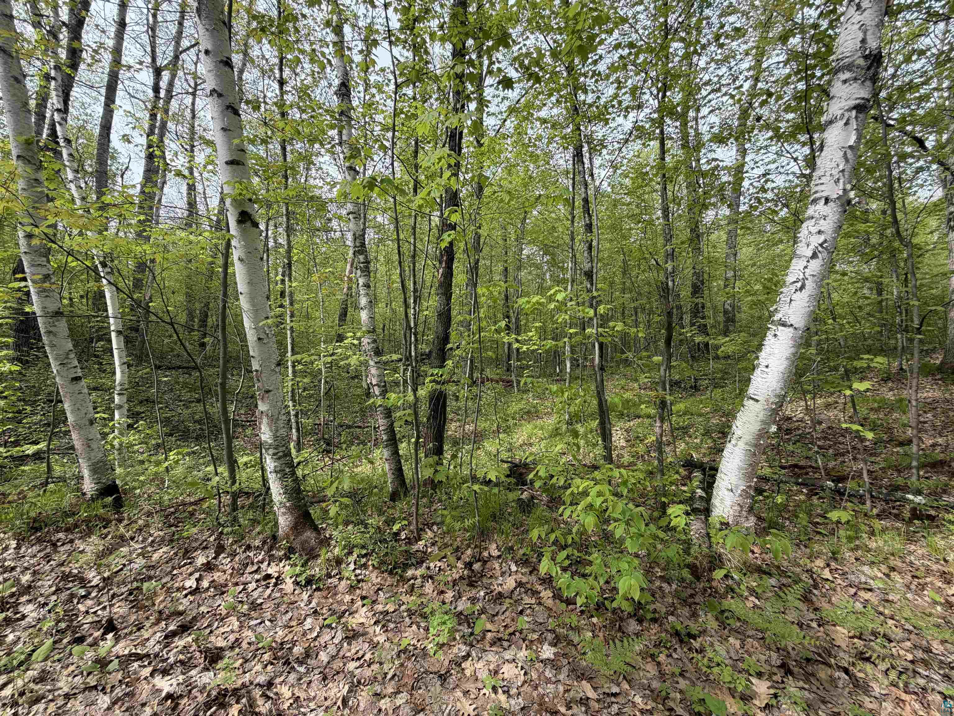 Lot 3 Peterson Rd, Wascott, WI 54859 Listing Photo  1